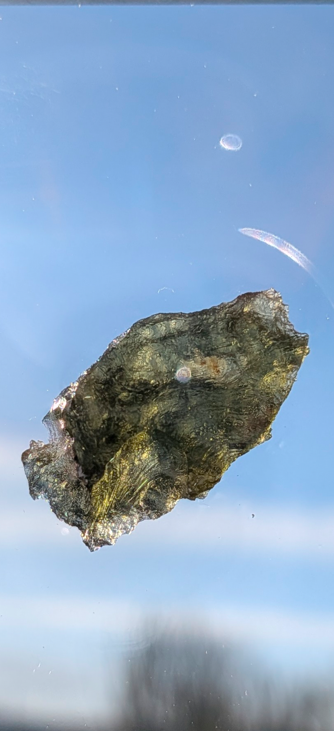 Small Moldavite From Chrastany #3 - 1.56g