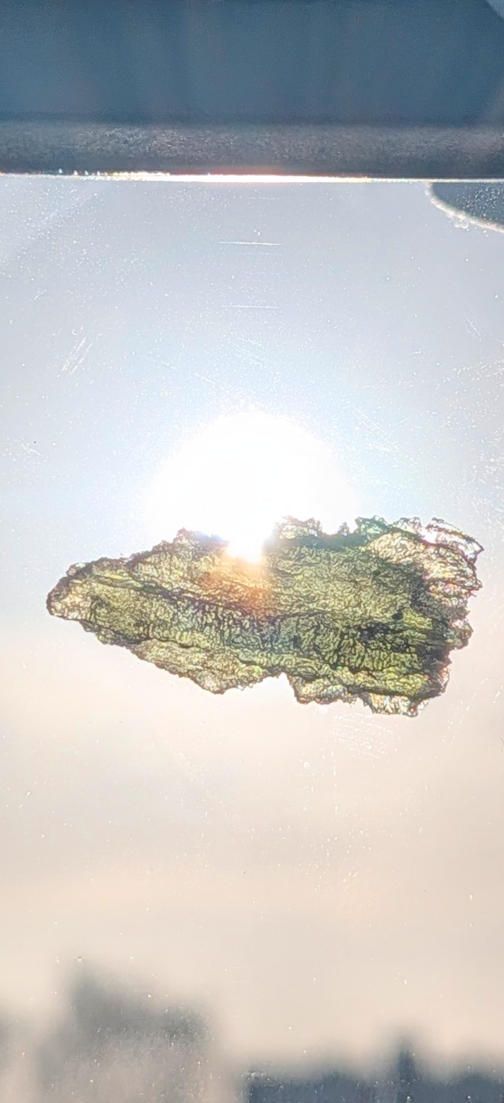 Small Moldavite From Chrastany #8 - 1.50g