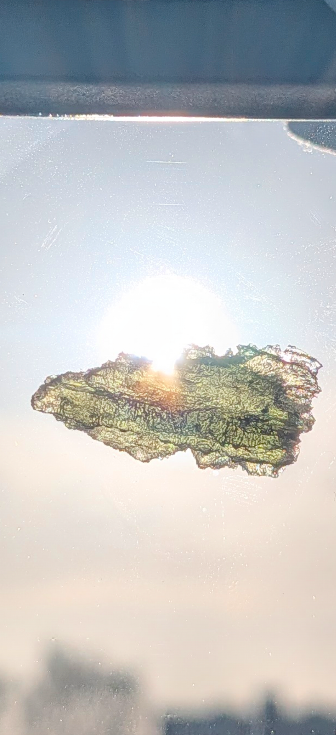 Small Moldavite From Chrastany #8 - 1.50g