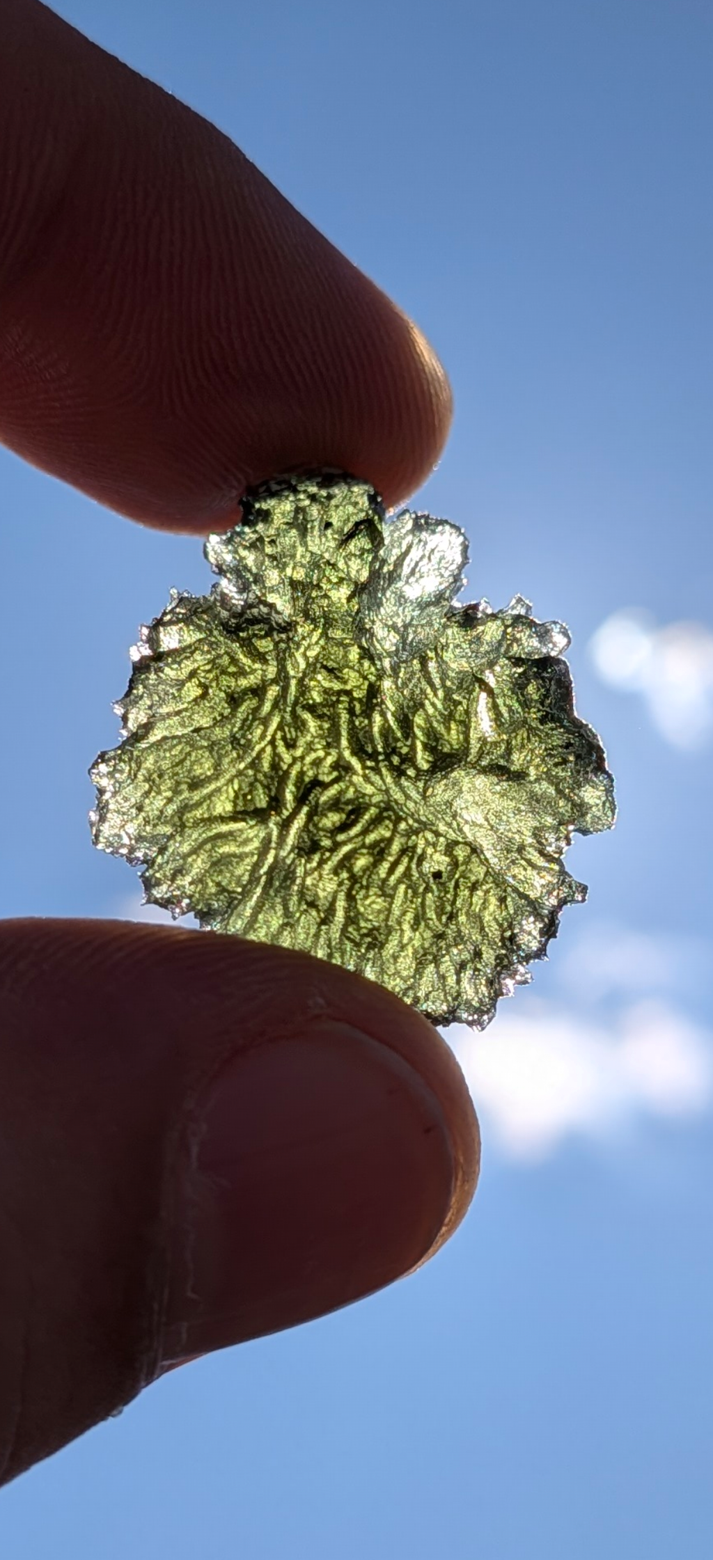 A+++ Grade Hedgehog Drop Shaped Moldavite From Nesmen Forest #3 - 5.15g