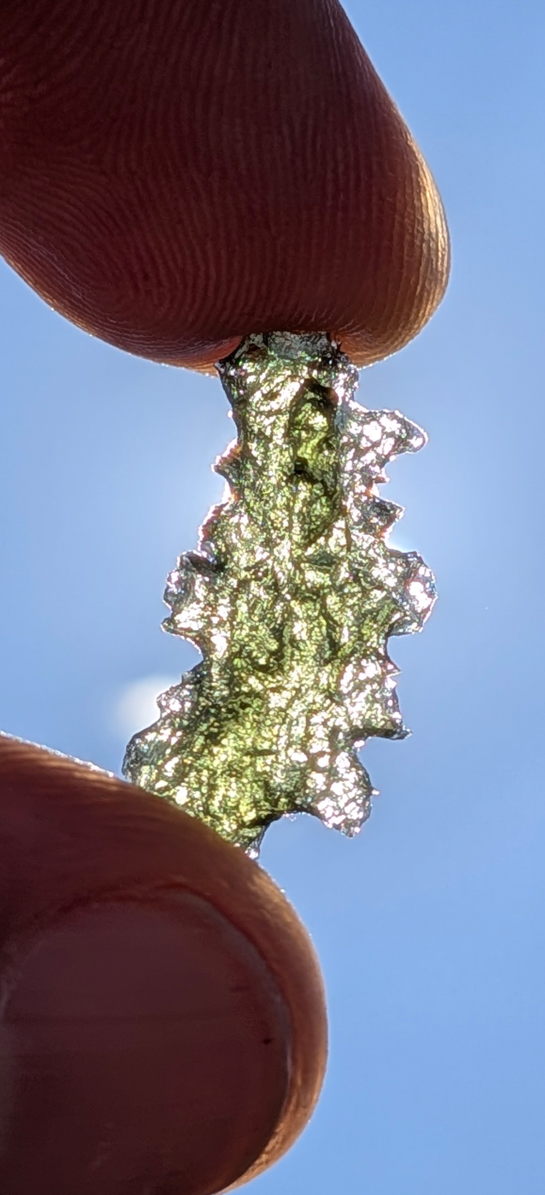 A++ Grade Hedgehog Moldavite From Besednice - Jezkovna #4 - 1.22g