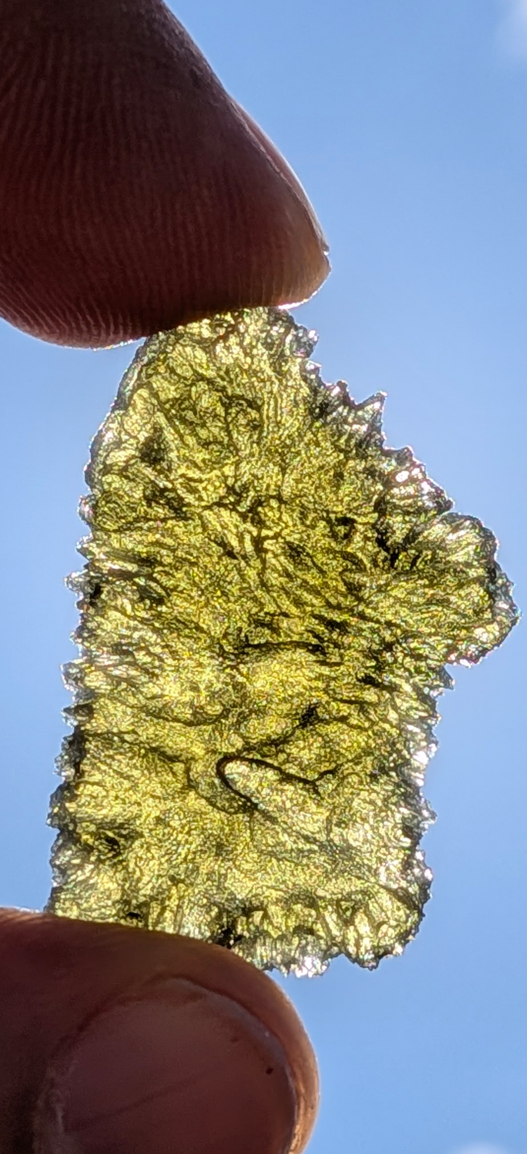 A++ Grade Moldavite From Nesmen Forest #5 - 5.74g