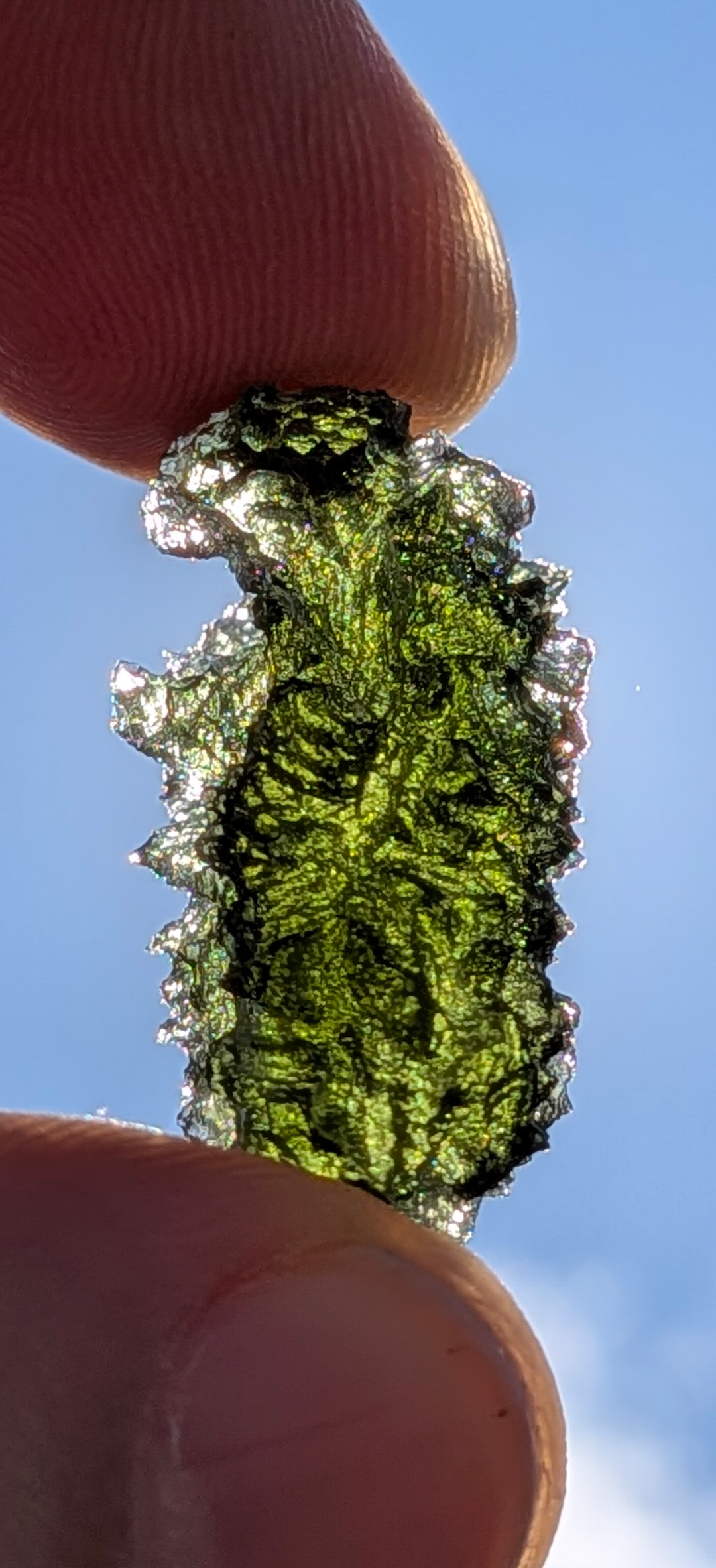 A+++ Grade Hedgehog Moldavite From Maly Chlum #6 - 4.28g