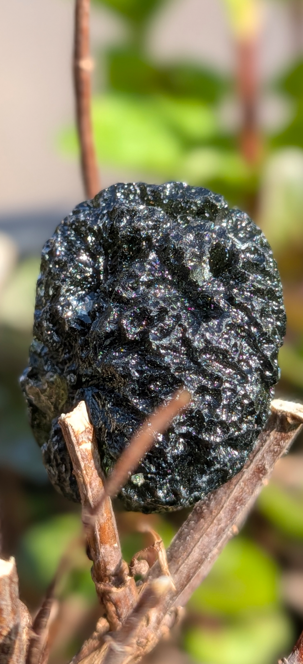 A+++ Grade Moldavite From Chlum #1 - 11.88g
