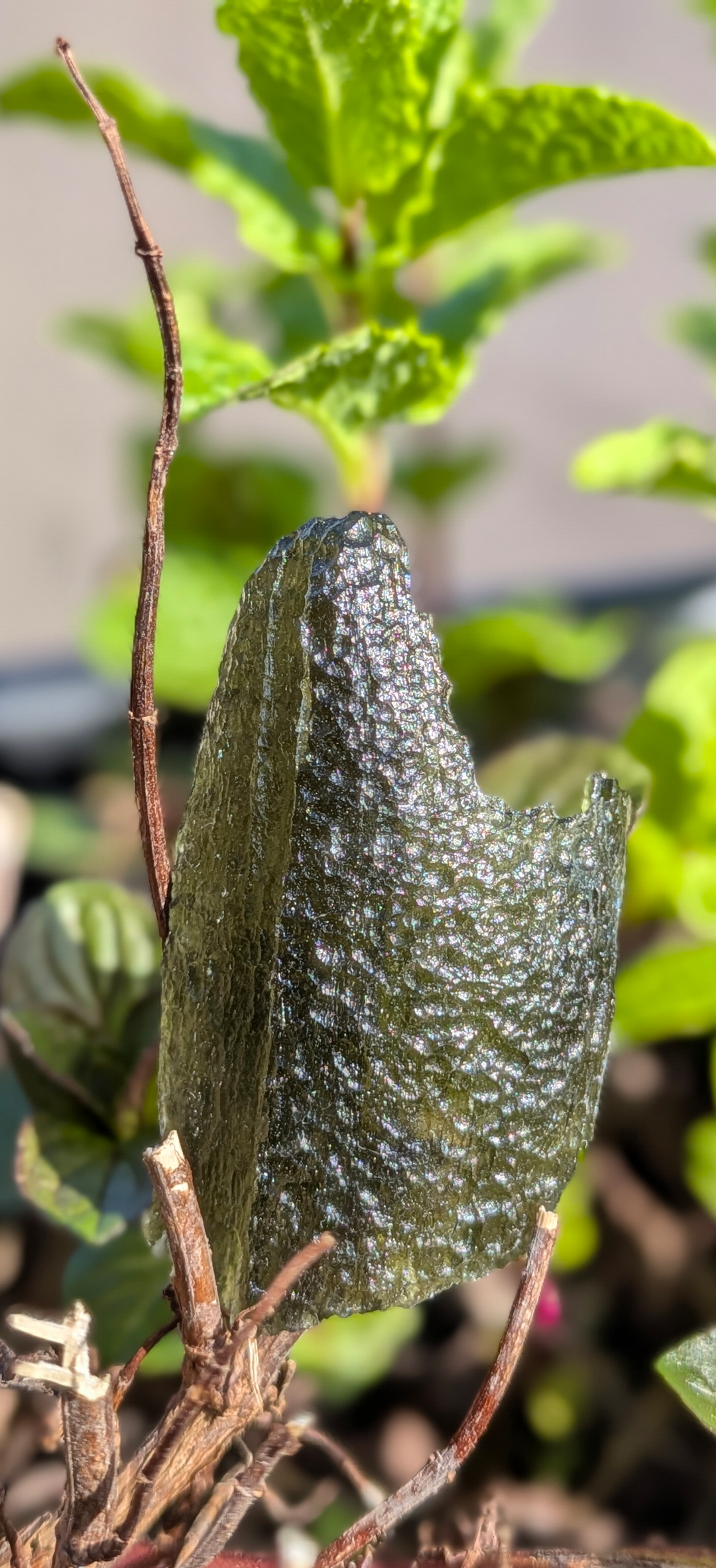 A+++ Grade Moldavite From Nesmen Forest #2 - 9.84g