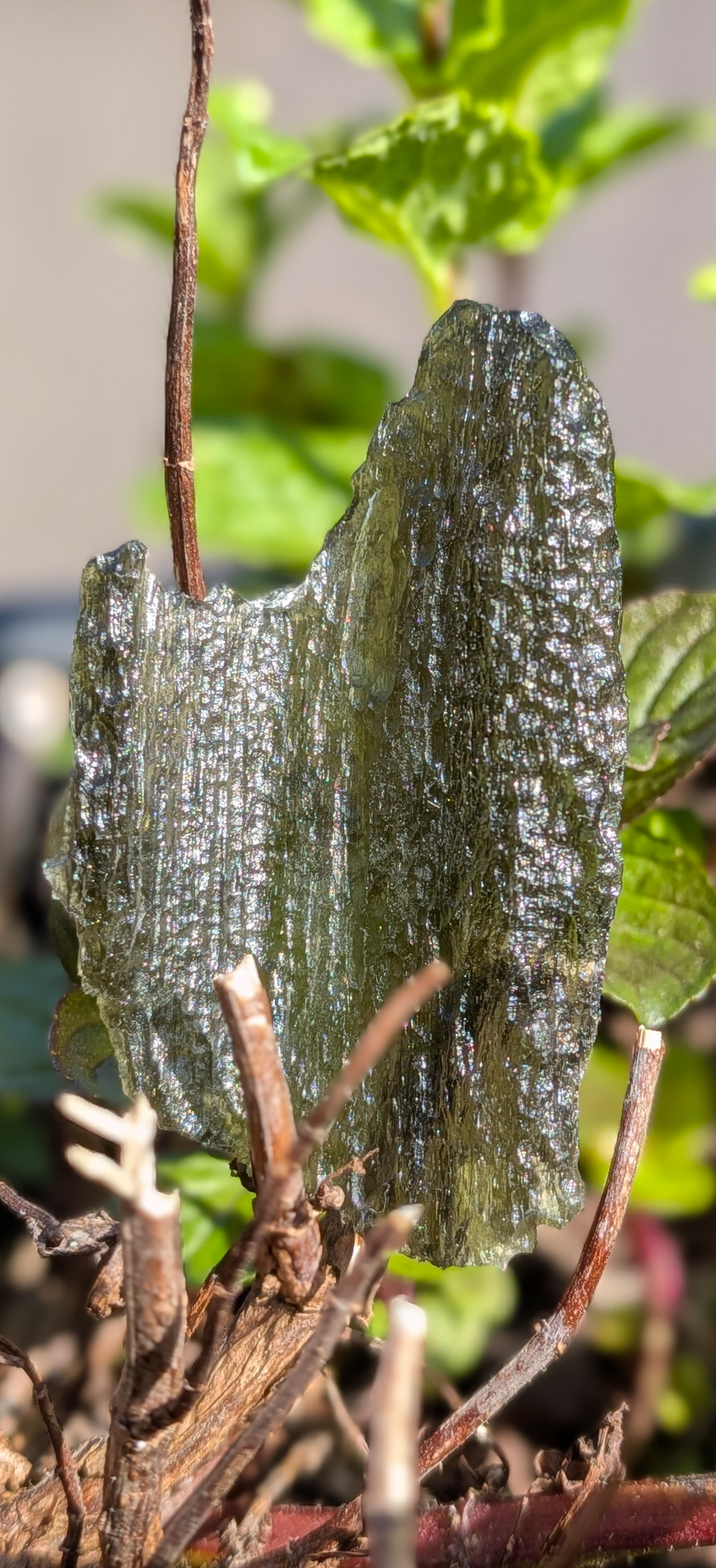A+++ Grade Moldavite From Nesmen Forest #2 - 9.84g