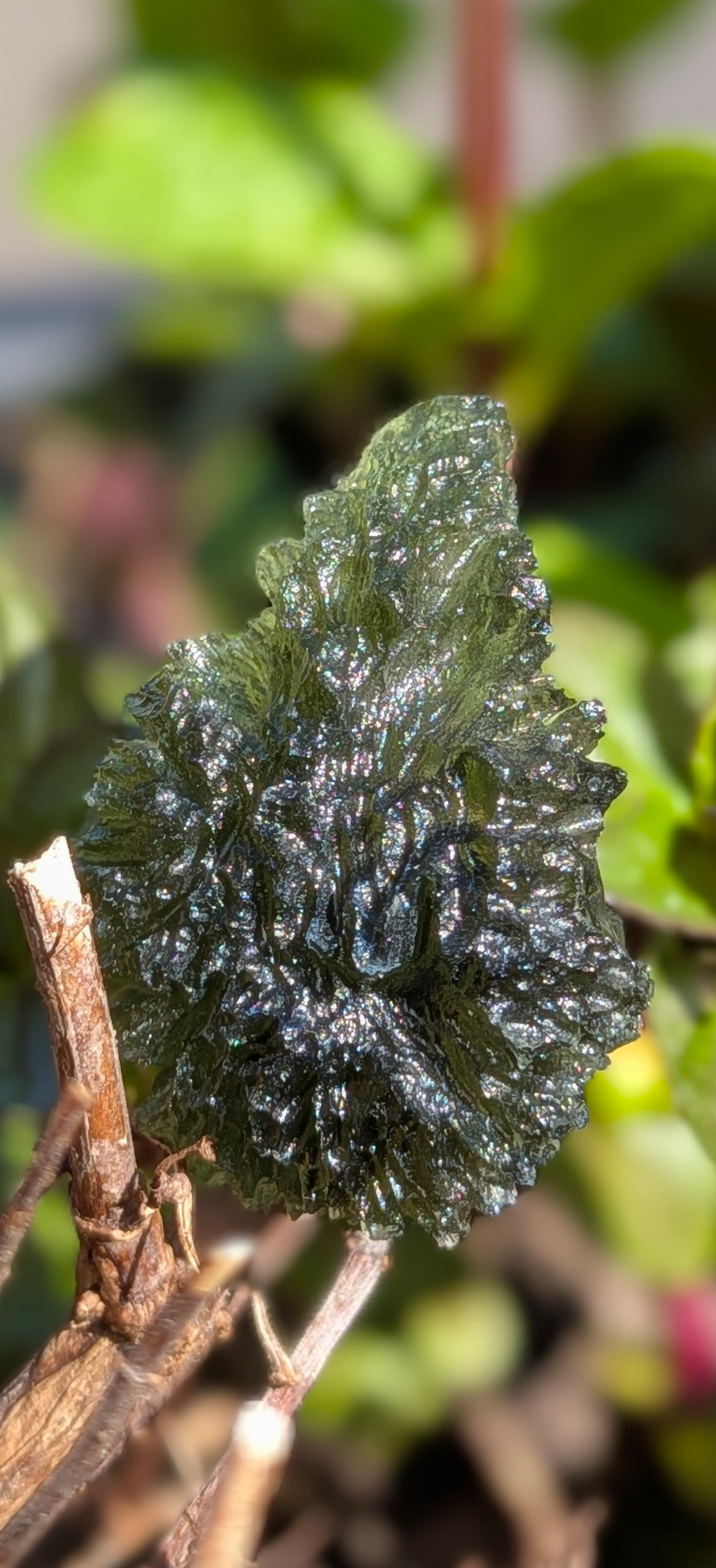 A+++ Grade Hedgehog Drop Shaped Moldavite From Nesmen Forest #3 - 5.15g