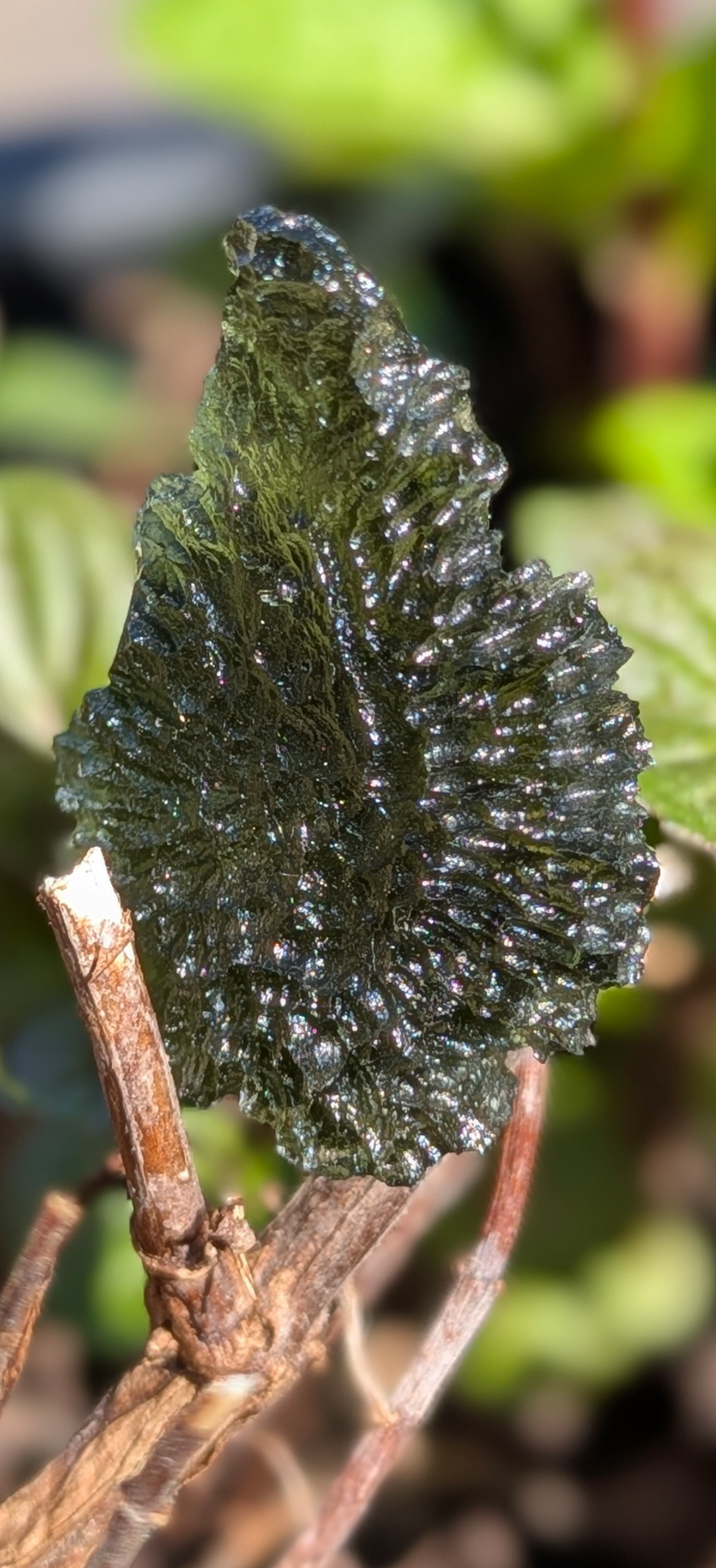 A+++ Grade Hedgehog Drop Shaped Moldavite From Nesmen Forest #3 - 5.15g