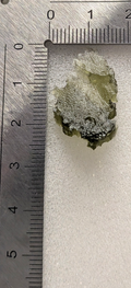 Small Moldavite From Chrášťany #28 - 1.93g