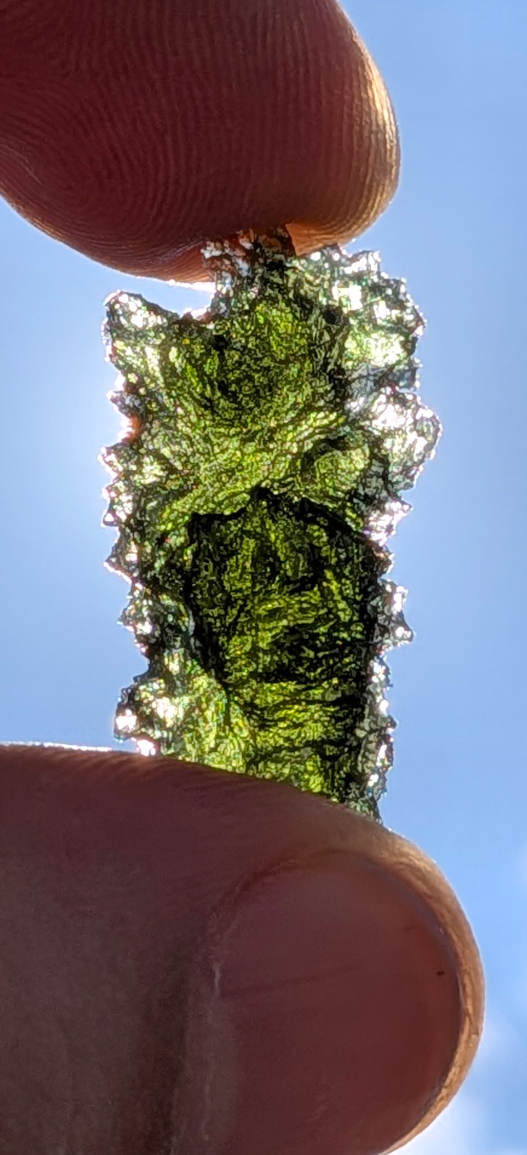 A+++ Grade Hedgehog Moldavite From Maly Chlum #6 - 4.28g