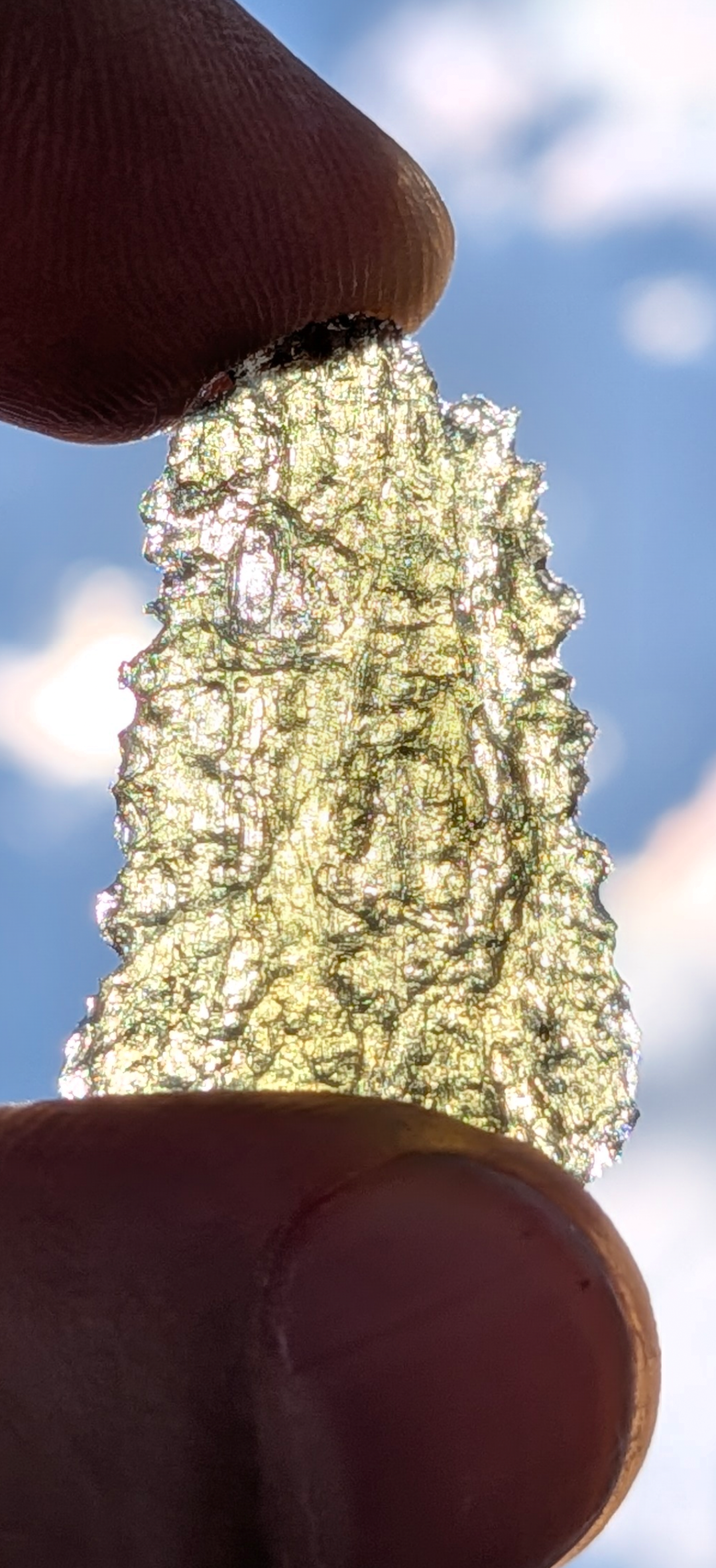 A++ Grade Moldavite From Silazka #8 - 2.51g