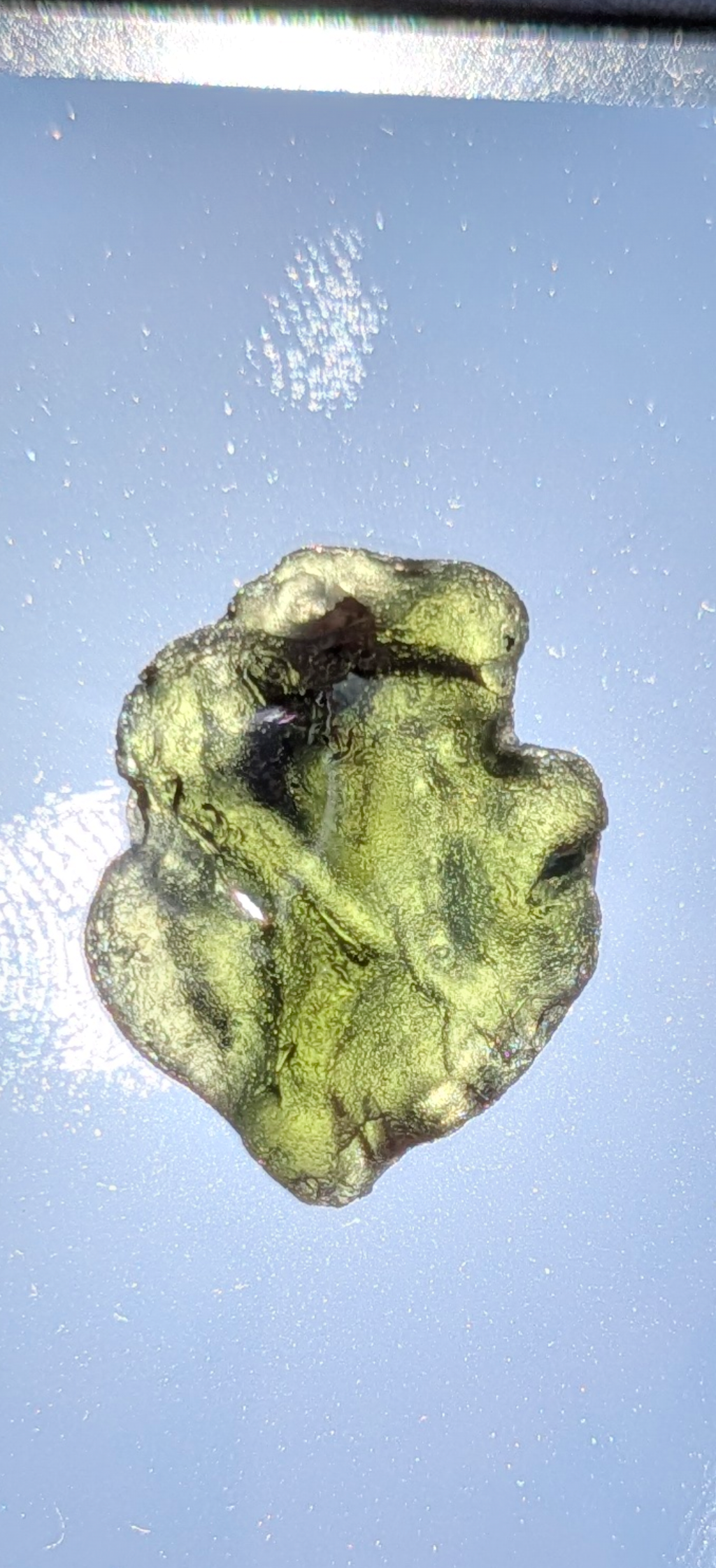 Small Moldavite From Bohemian Fields #15 - 2.26