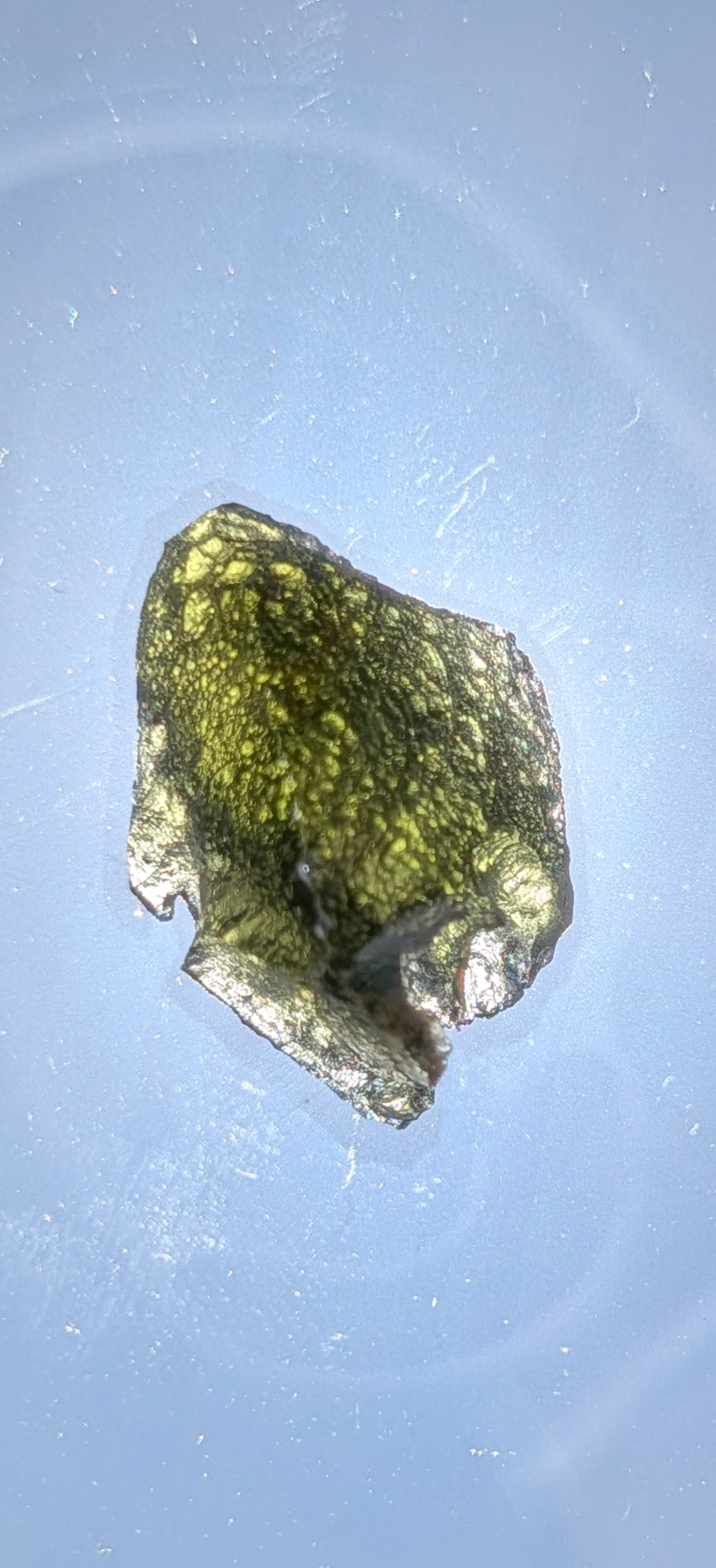 Small Moldavite From Chrášťany #21 - 2.47g