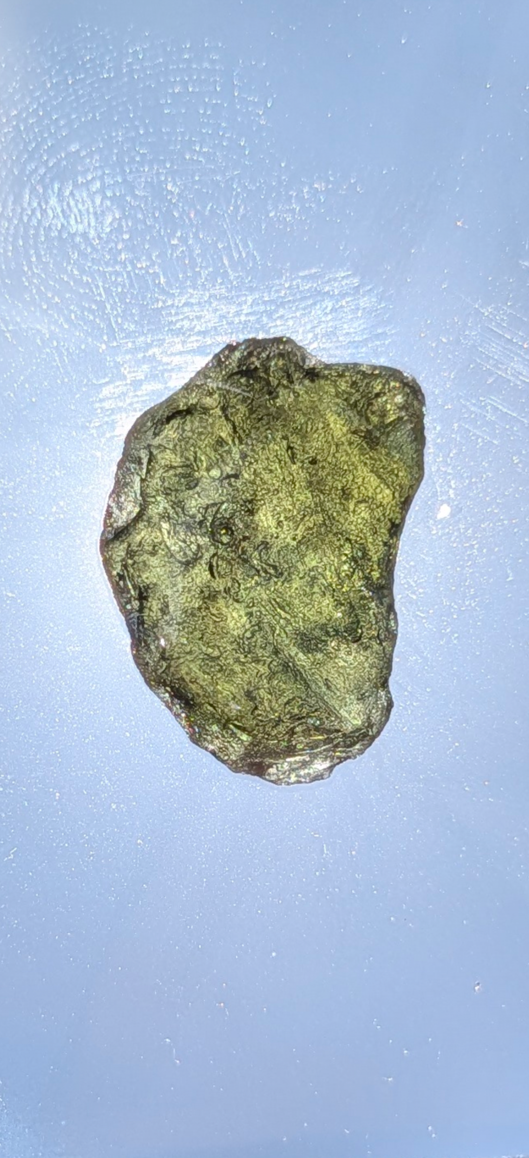Small Moldavite From South Bohemia  Fields #31 - 2.12g