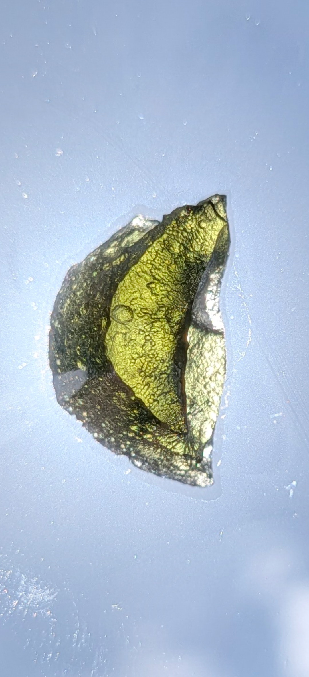 Small Moldavite From Nesmen #32 - 1.85g