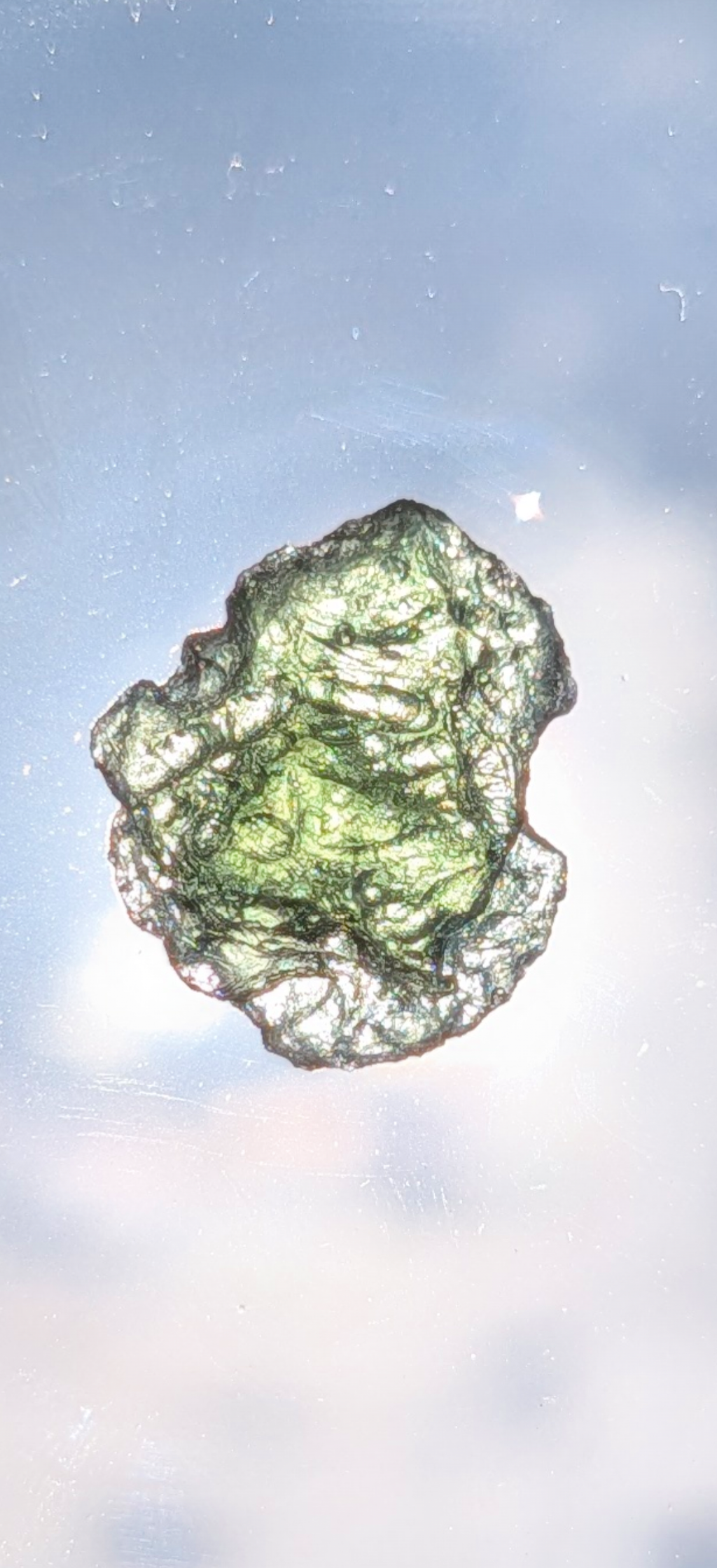 Small Moldavite From Locenice #39 - 0.88g