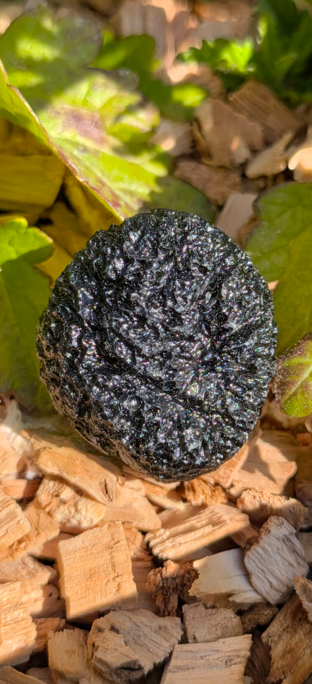 A+++ Grade Moldavite From Chlum #1 - 11.88g