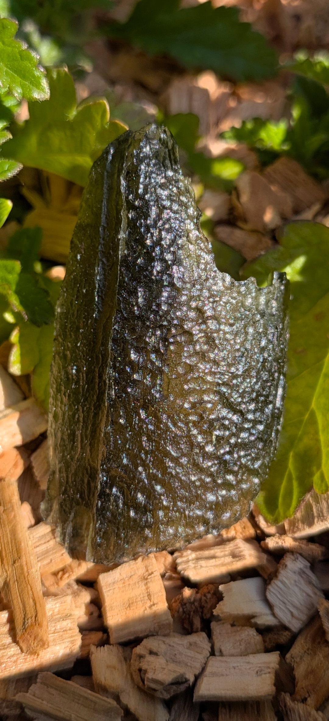 A+++ Grade Moldavite From Nesmen Forest #2 - 9.84g
