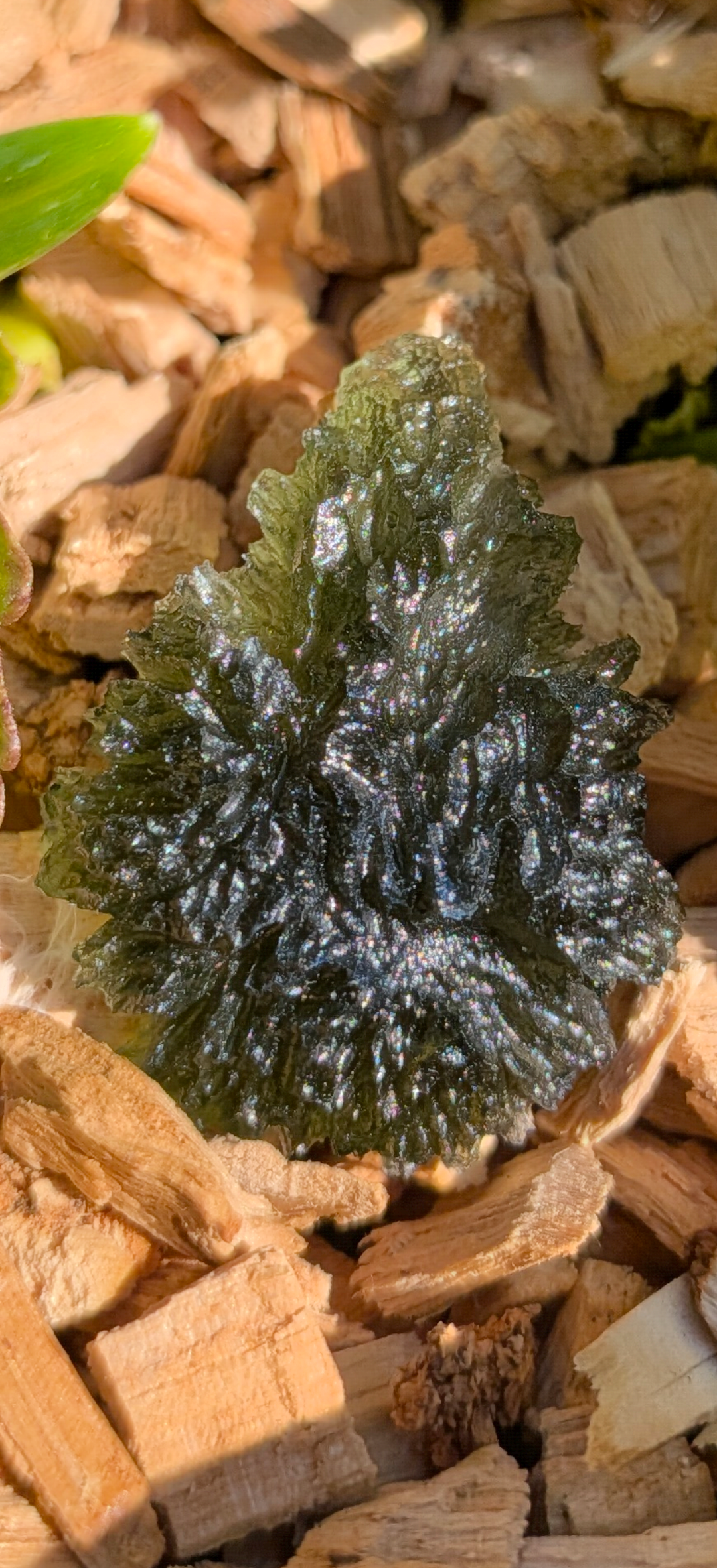 A+++ Grade Hedgehog Drop Shaped Moldavite From Nesmen Forest #3 - 5.15g