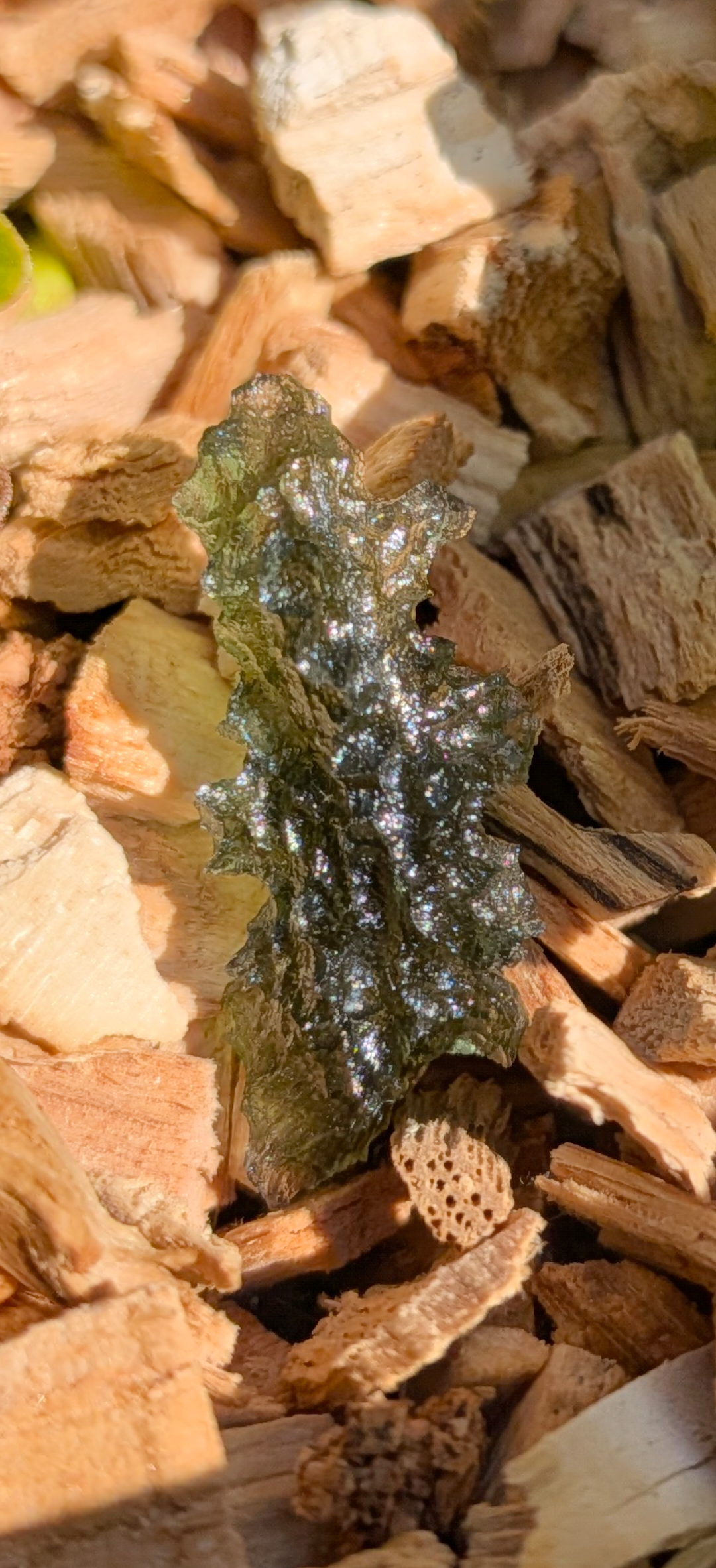 A++ Grade Hedgehog Moldavite From Besednice - Jezkovna #4 - 1.22g