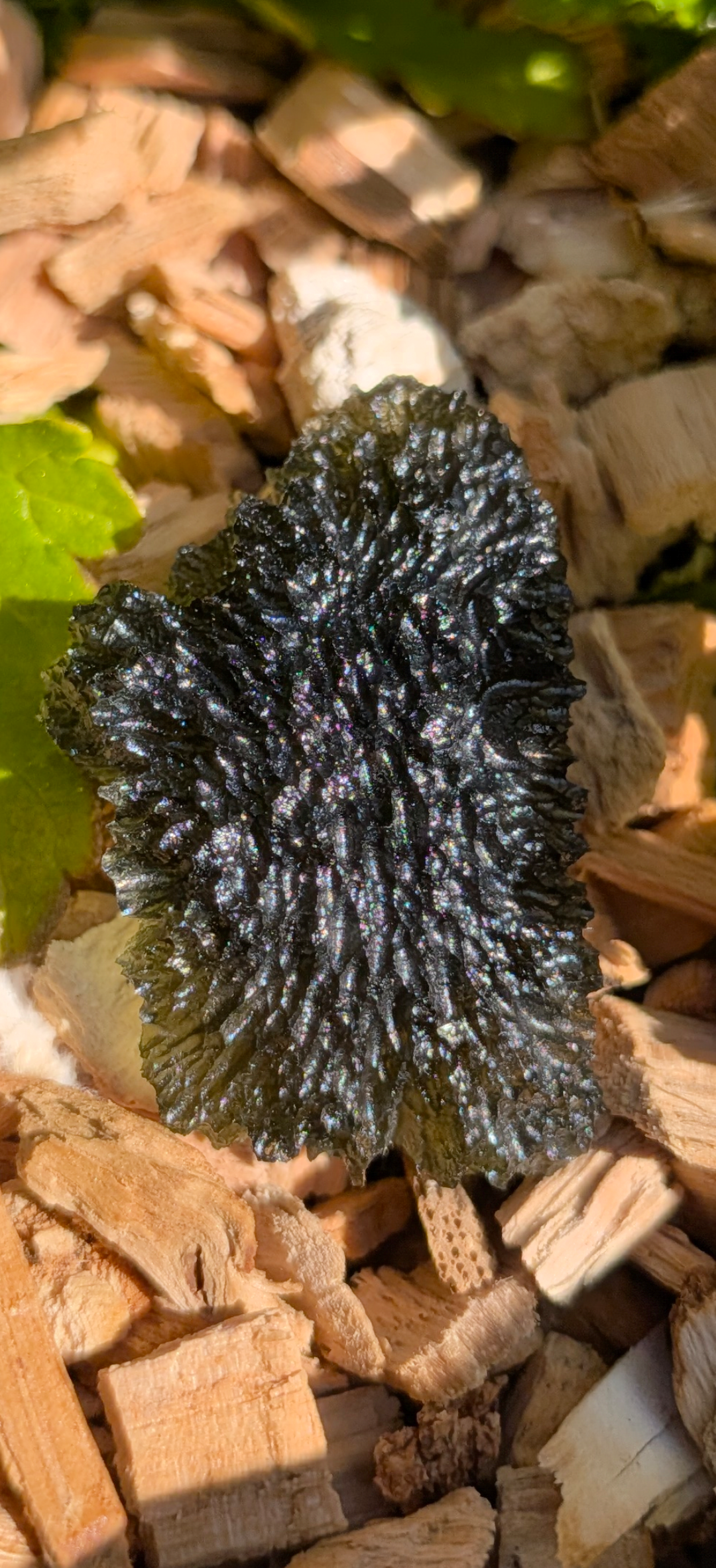 A++ Grade Moldavite From Nesmen Forest #5 - 5.74g