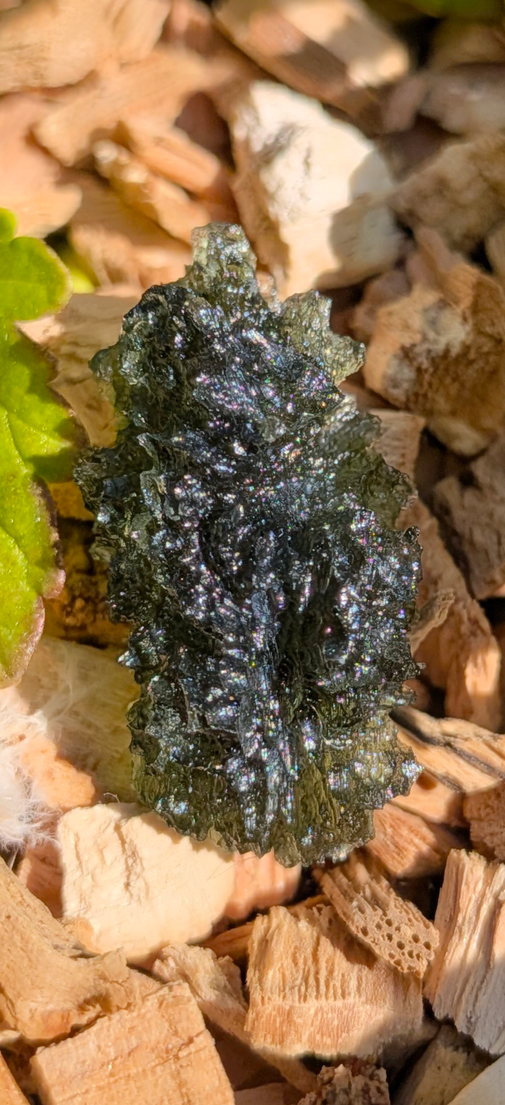 A+++ Grade Hedgehog Moldavite From Maly Chlum #6 - 4.28g