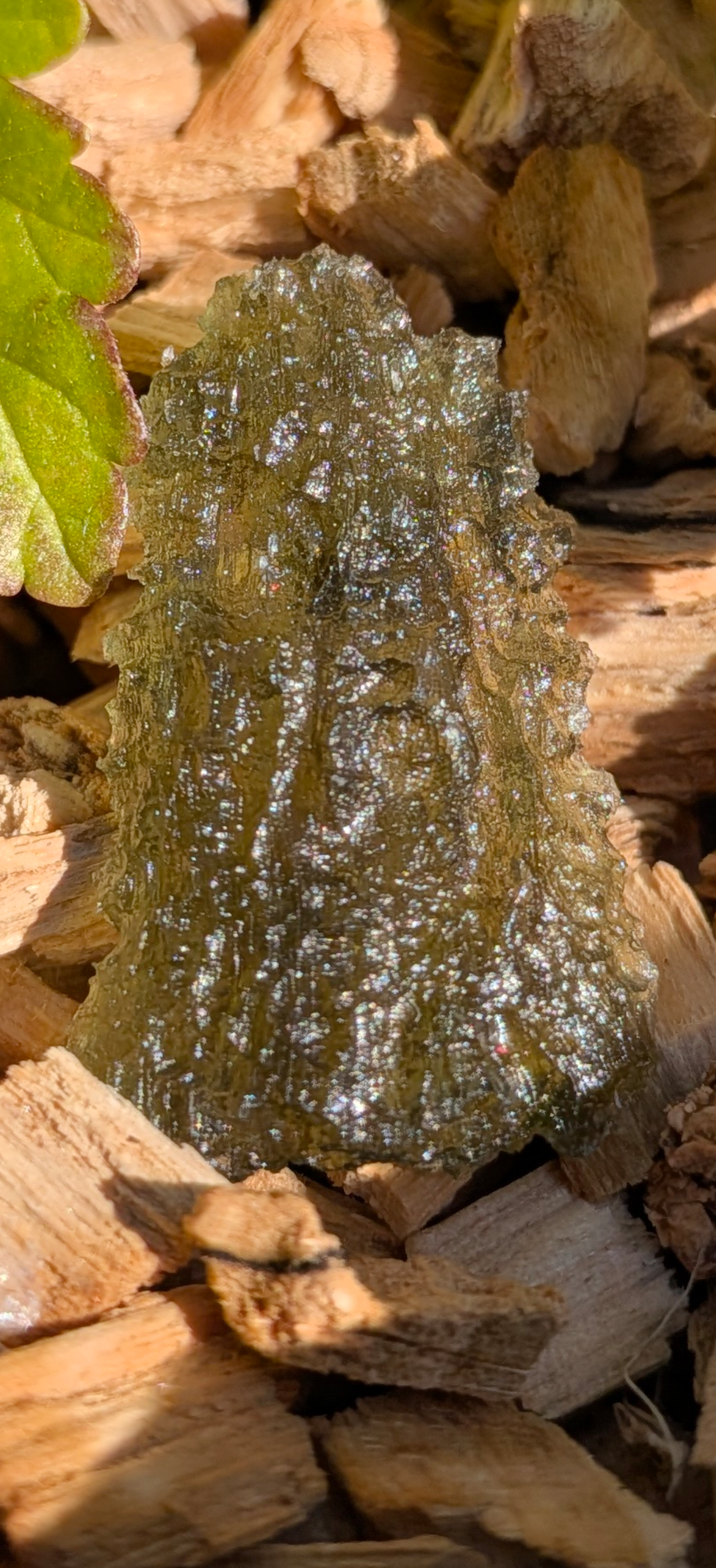 A++ Grade Moldavite From Silazka #8 - 2.51g