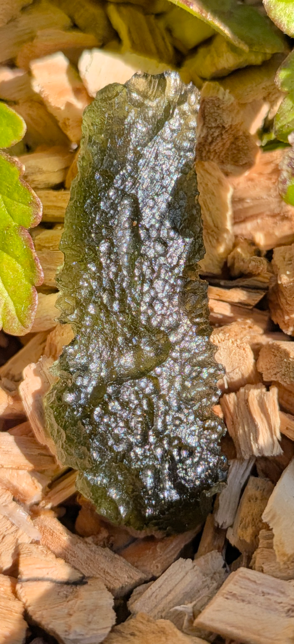 A++ Grade Moldavite From Silazka #9 - 4.64g
