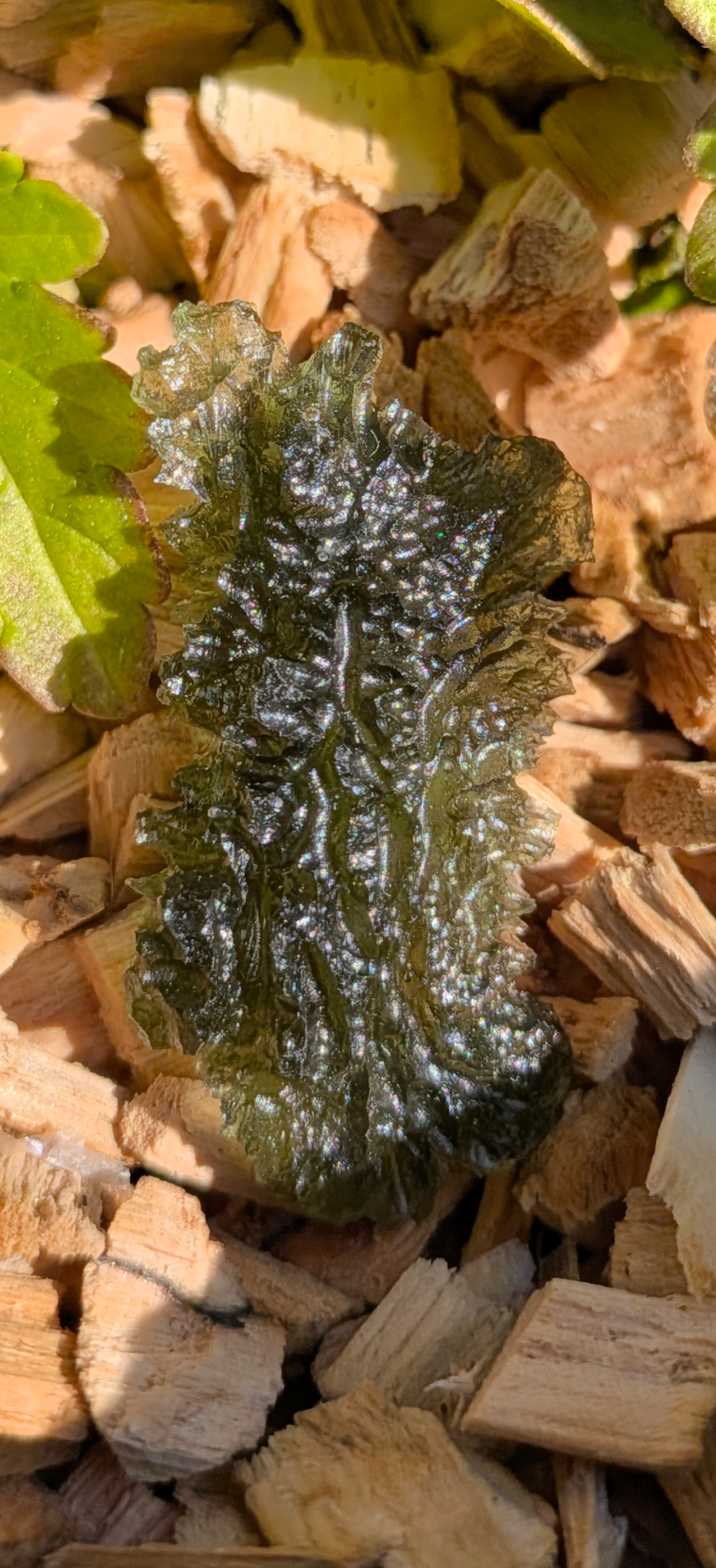 A++ Grade Moldavite From Maly Chlum #11 - 3.45g
