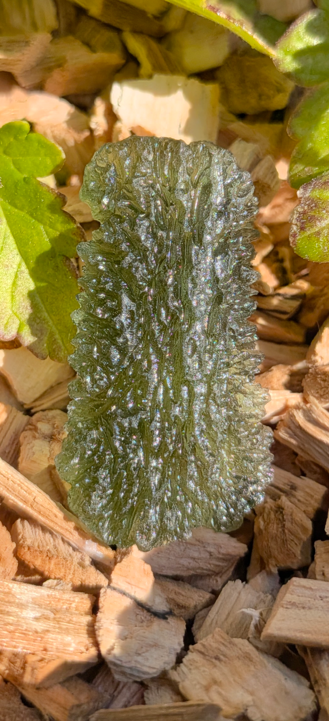 A+++ Grade Moldavite From Nesmen Forest #13 - 5.50g
