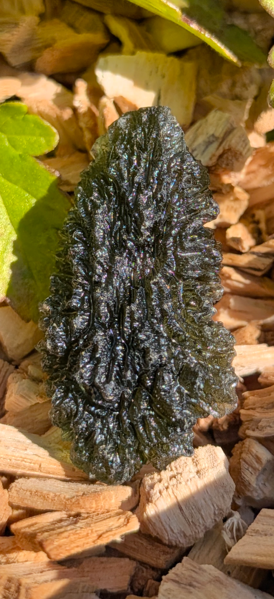 A+++ Grade Moldavite From Nesmen Forest #14 - 6.90g