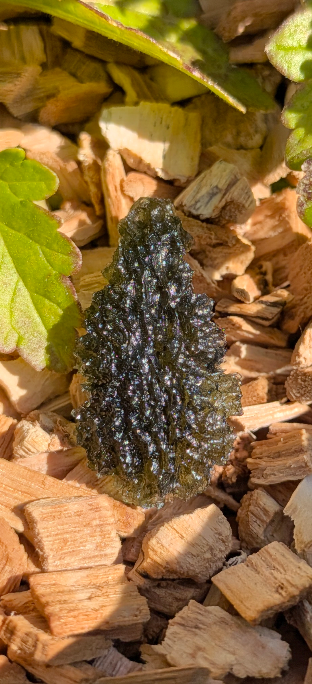 A+++ Grade Drop Shaped Moldavite From Nesmen Forest #15 - 3.78g
