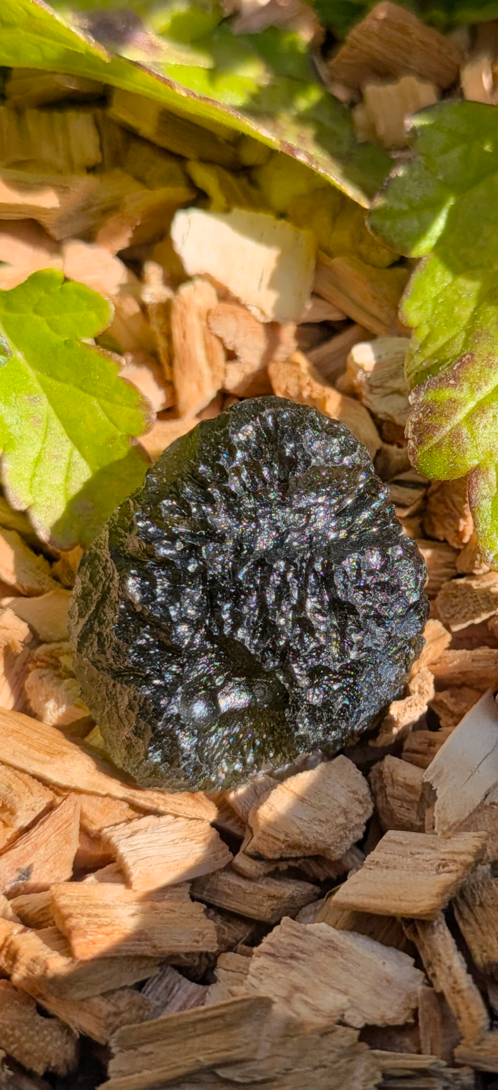 A+++ Grade Moldavite From Marouskovo Pole #16 - 7.47g