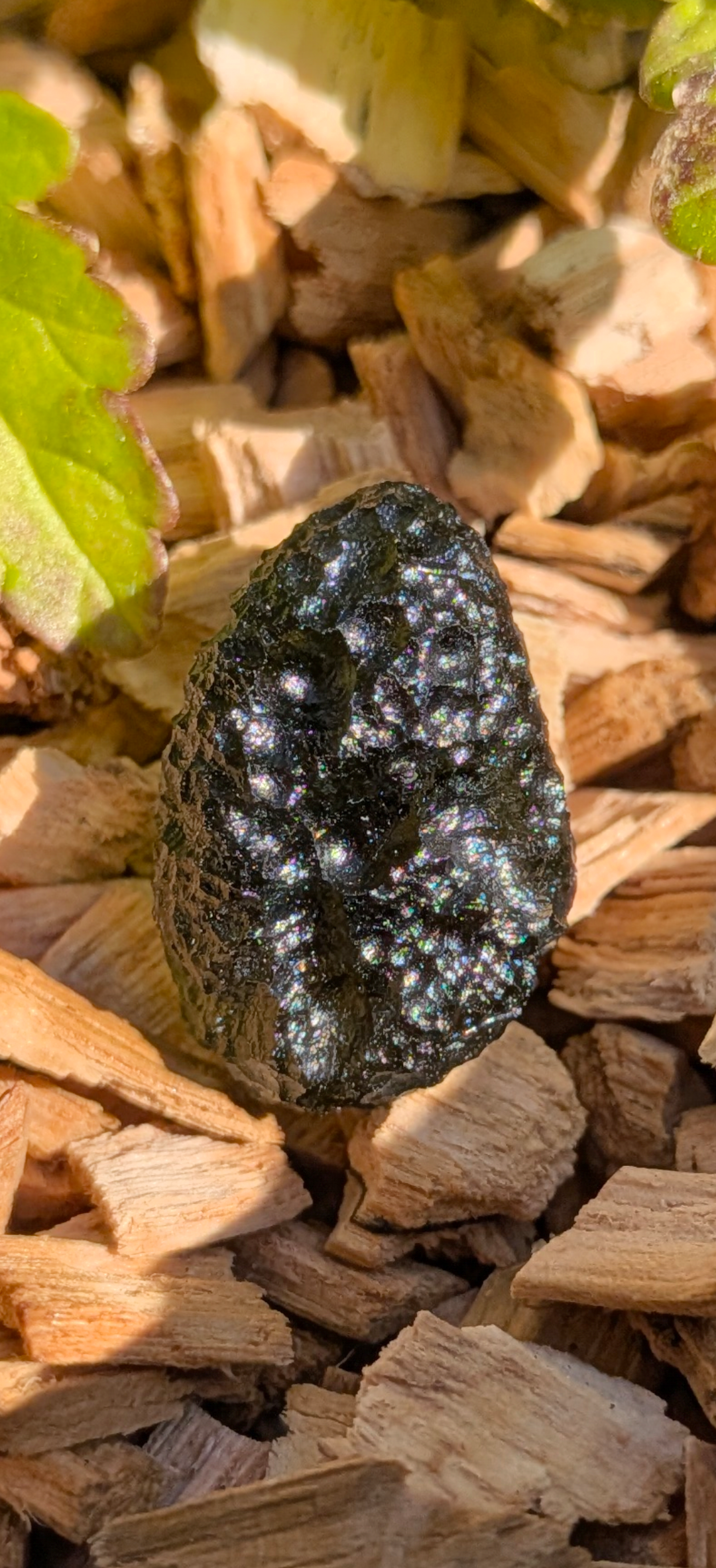 A+++ Grade Egg-Shaped Moldavite From Chlum #21 - 4.22g