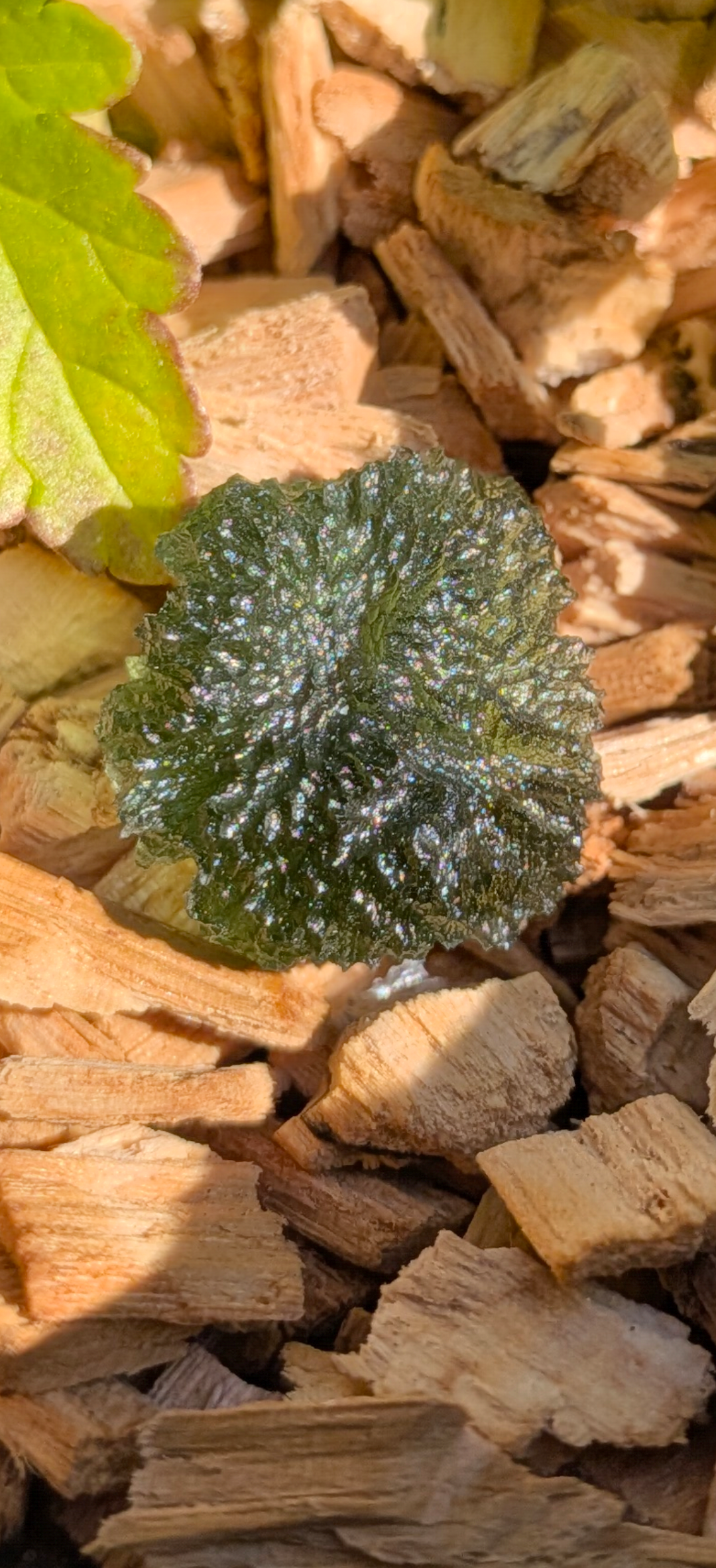 A++ Grade Moldavite From Maly Chlum #17 - 3.41g
