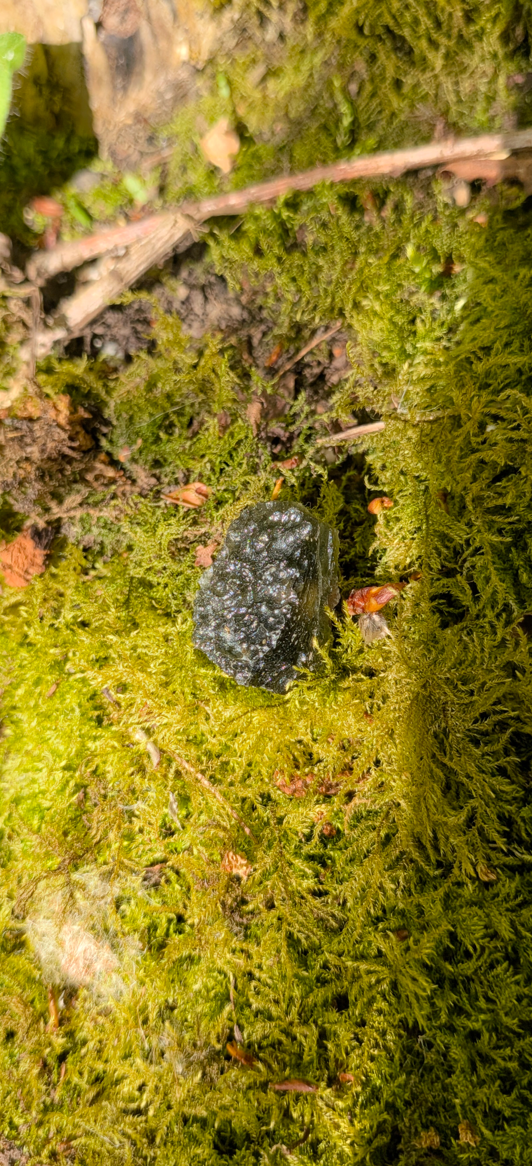 A++ Grade Moldavite From Chlum #40 - 4.8g