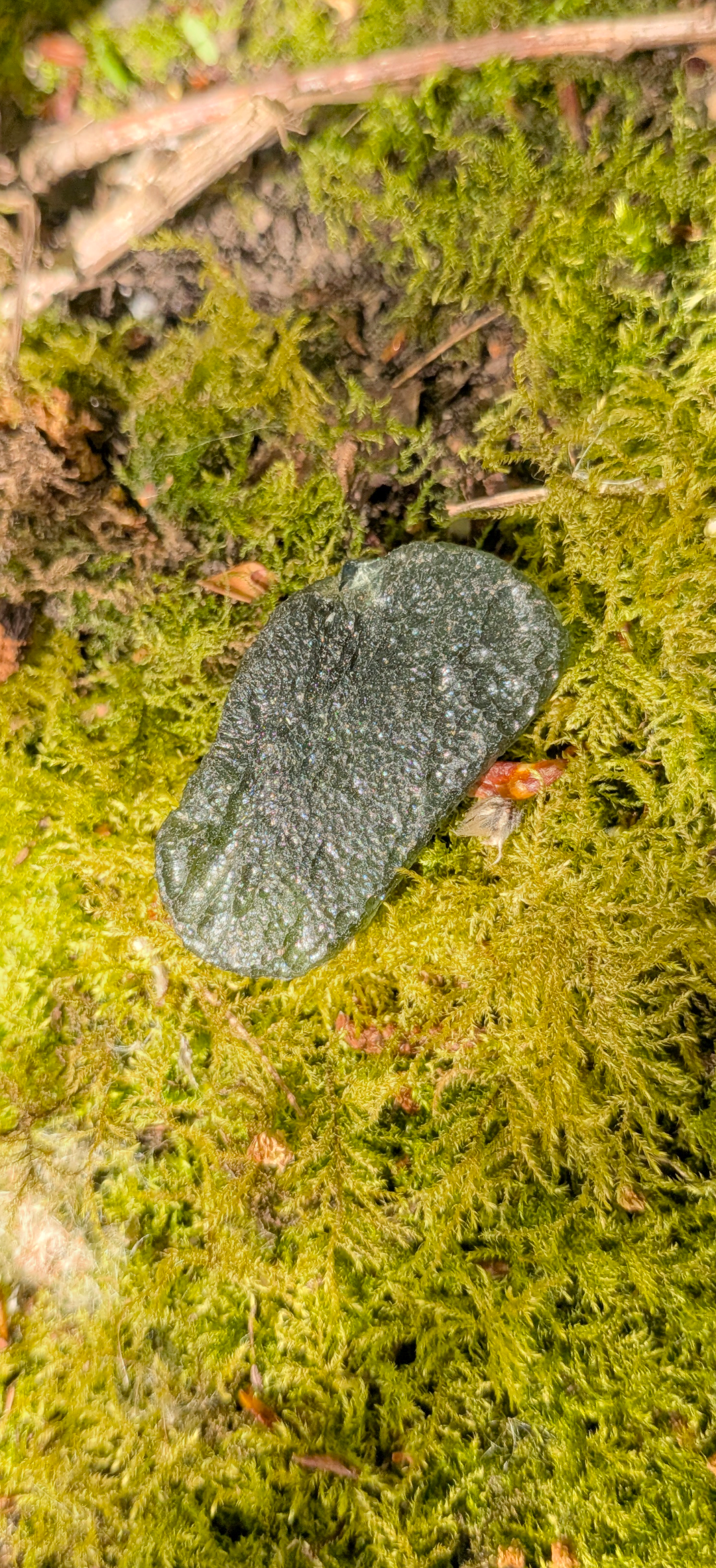 A+++ Grade Moldavite From Nechov #42 - 8,9g