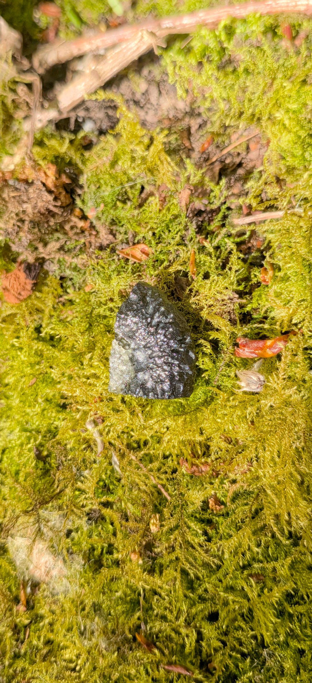 A++ Grade Moldavite From Vrabce #43- 4.01g