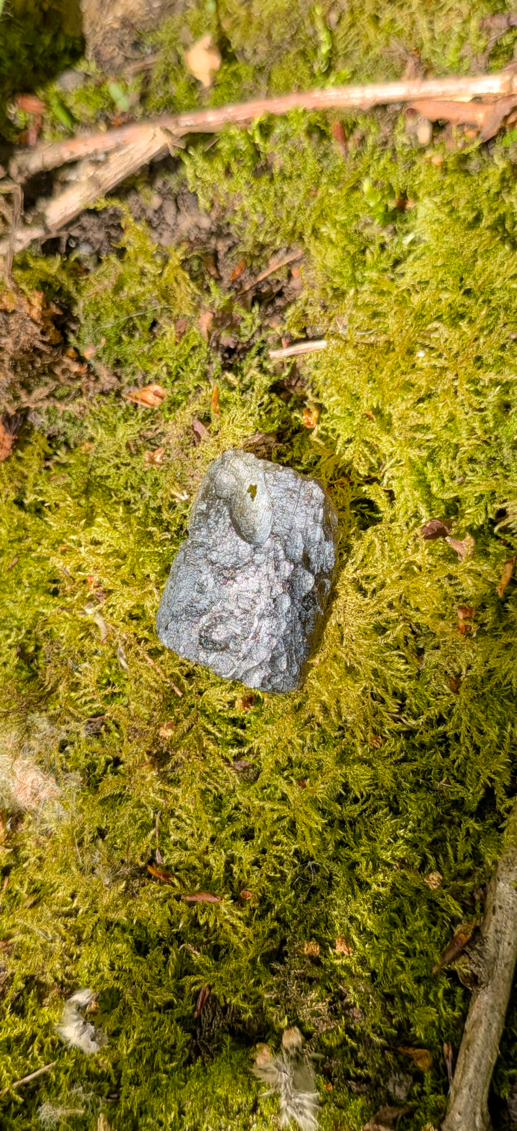 A++ Grade Moldavite From Vrabce #44- 4.59g