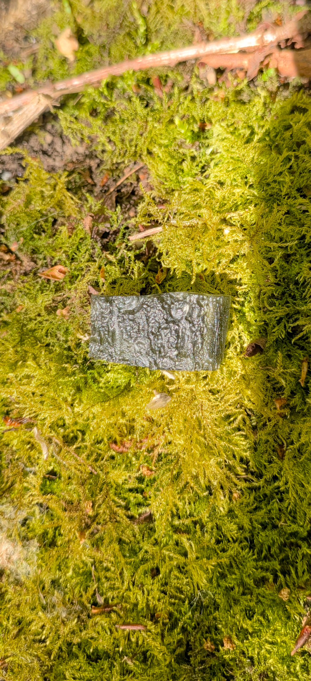 A++ Grade Moldavite From Nesmen - Zahrada #45- 6g