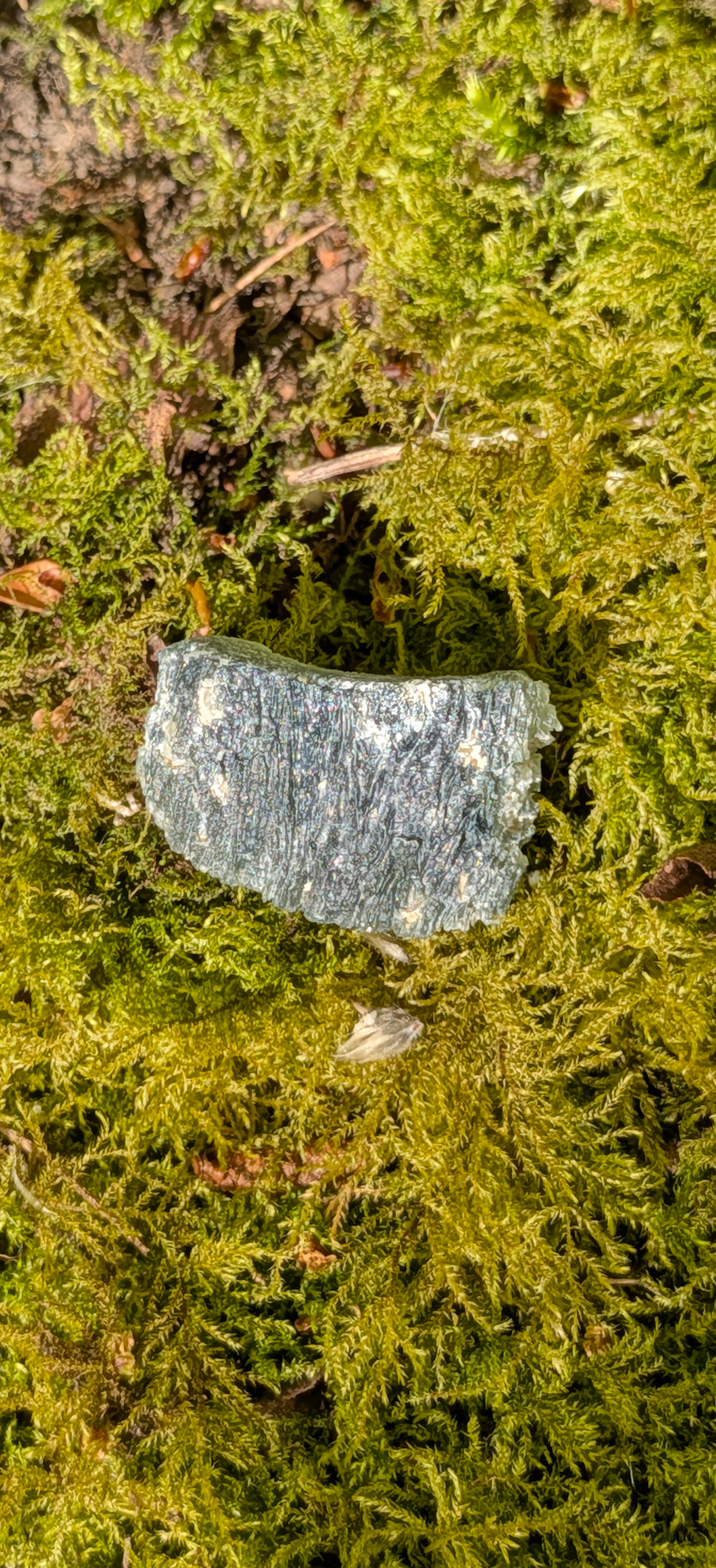 A++ Grade Frosty Moldavite From Bartochov #46- 6,8g