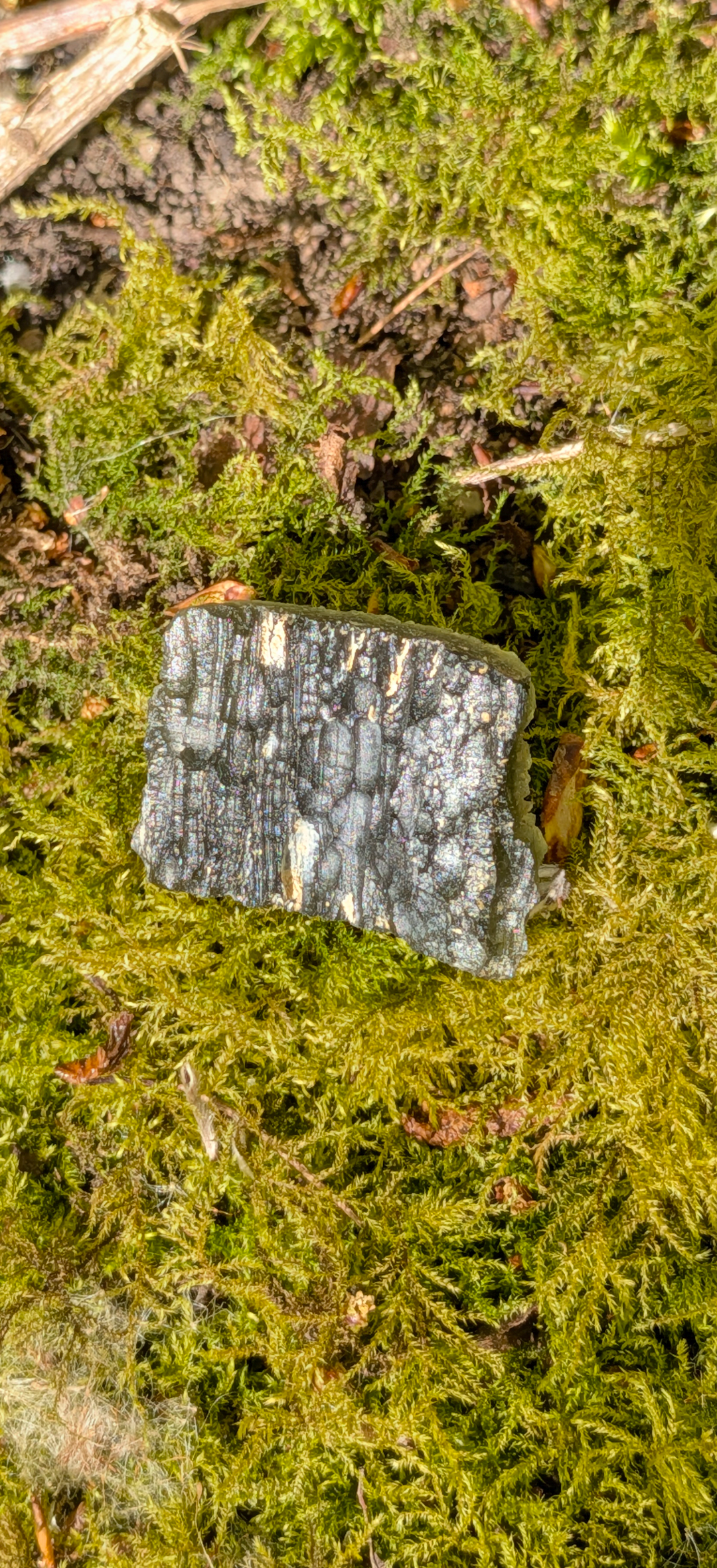 A++ Grade Moldavite From Dolni Chrastany #47 - 8,4g