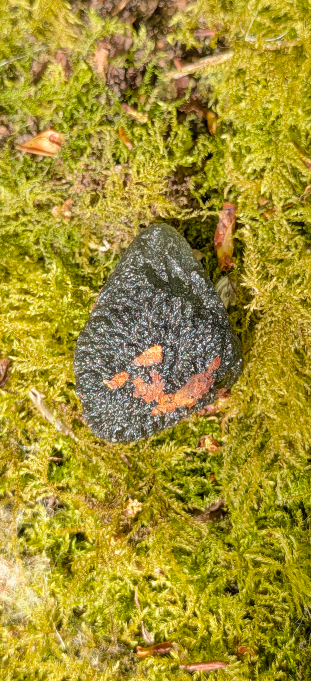 A++ Grade Moldavite From Chlum #48 - 7,15g