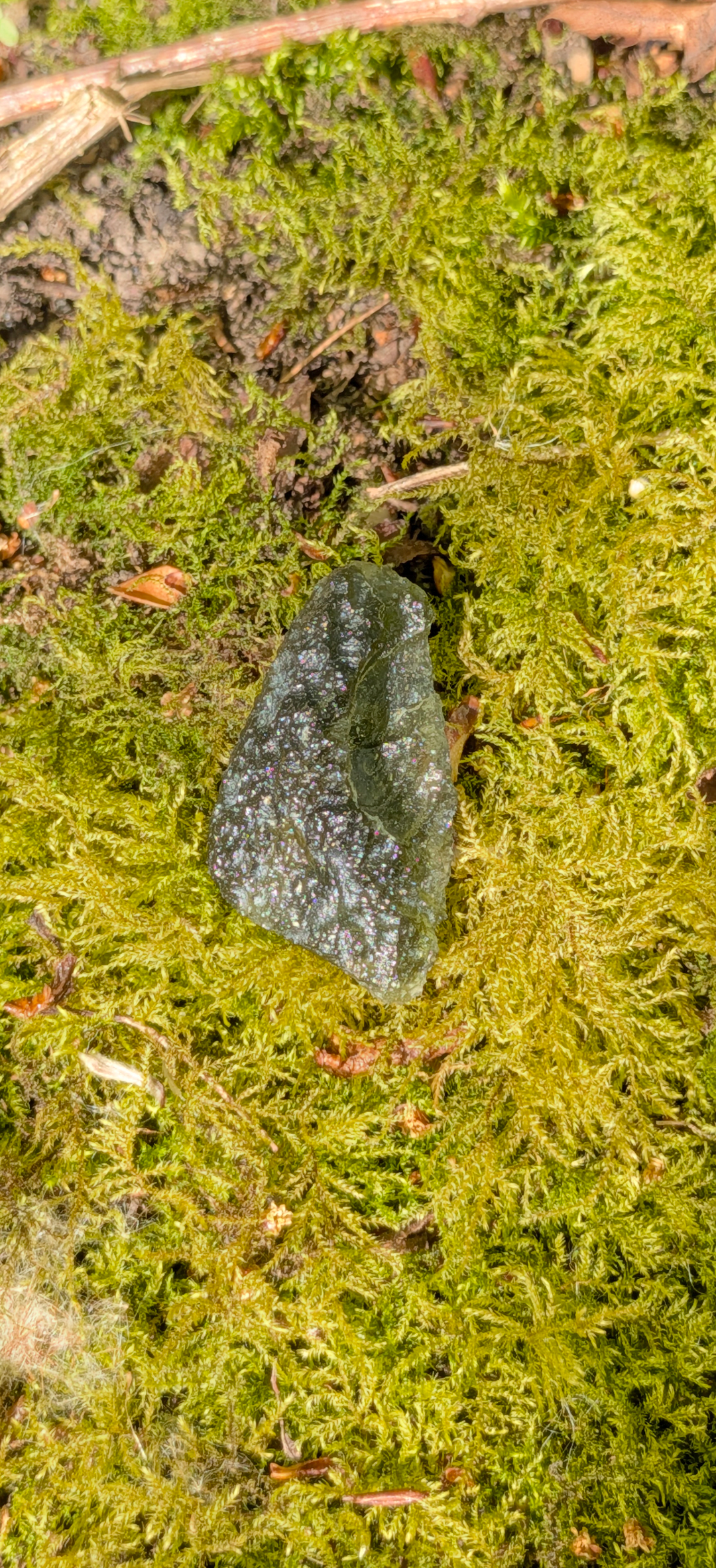 A++ Grade Moldavite From Chlum #49 - 5,47g