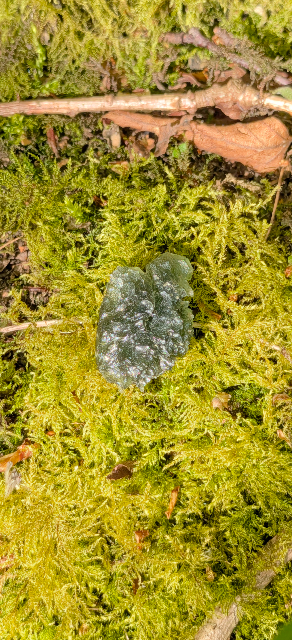 A++ Grade Moldavite From Dolni Chrastany #51 - 4.91g