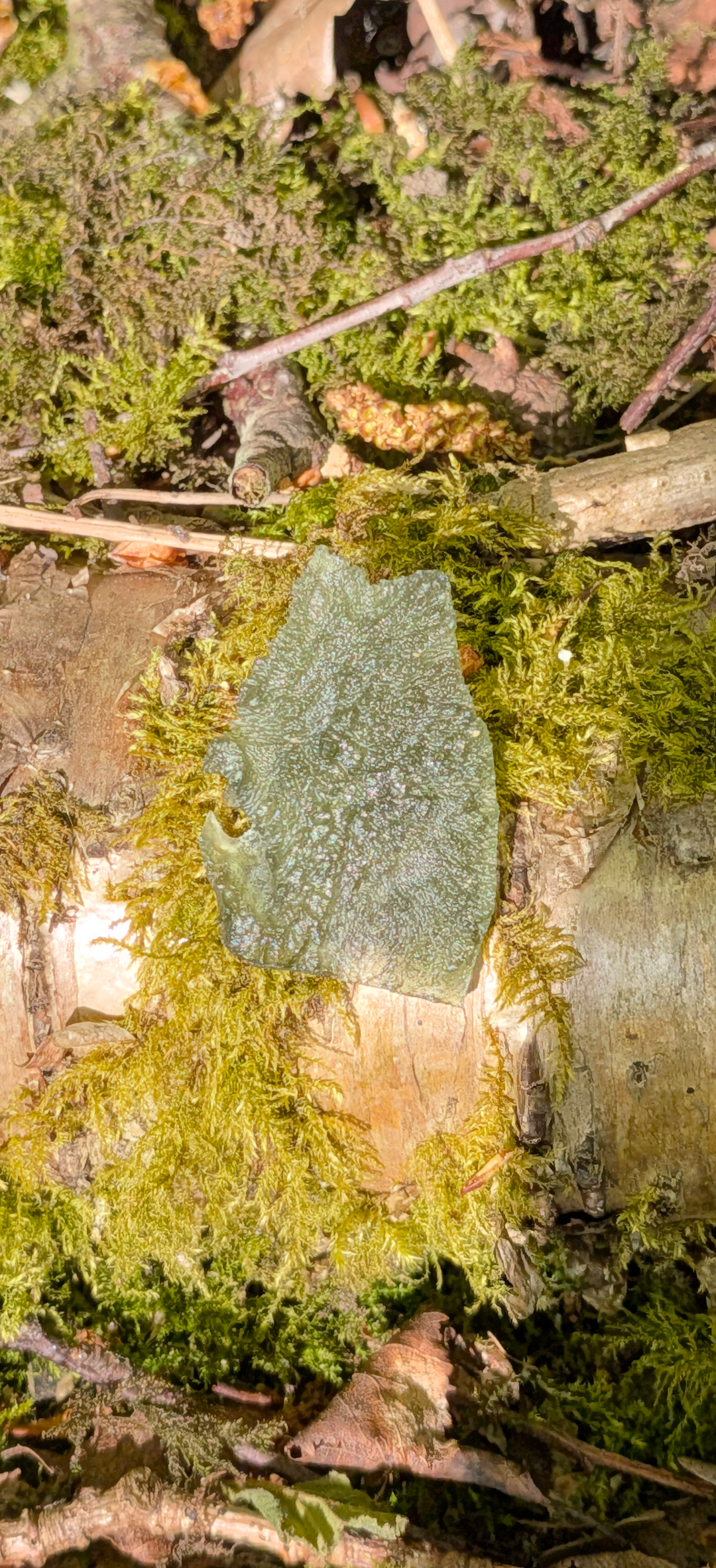 A++ Grade Moldavite From Dolni Chrastany #52 - 3,7g