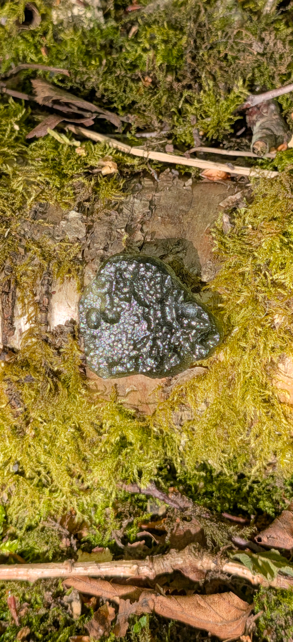 A++ Grade Moldavite From Chlum #54 - 5,42g