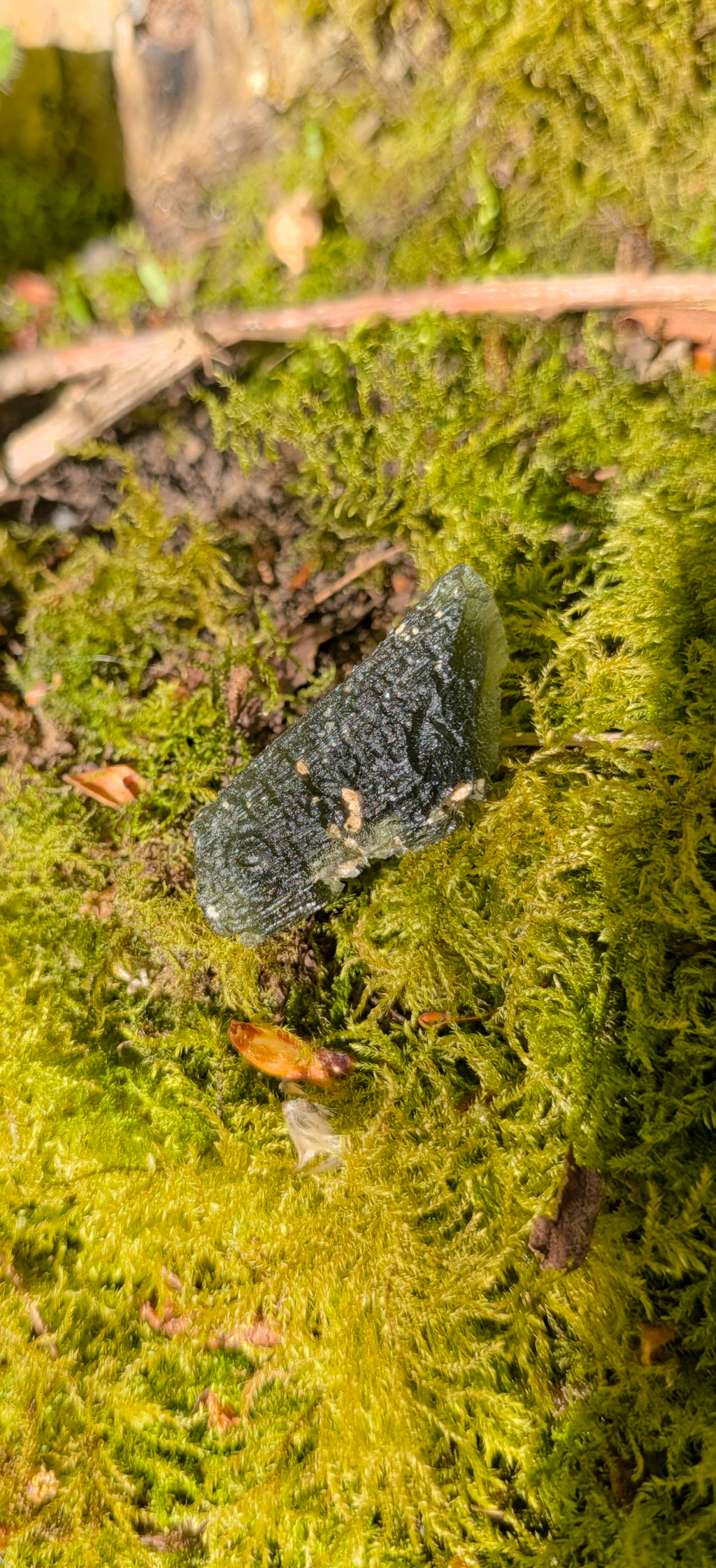 A+ Grade Moldavite From Lipi #58 - 4,80g