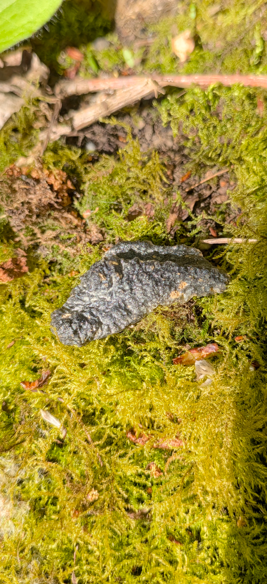 A++ Grade Moldavite From Nesmen - Louka #60 - 4.97g