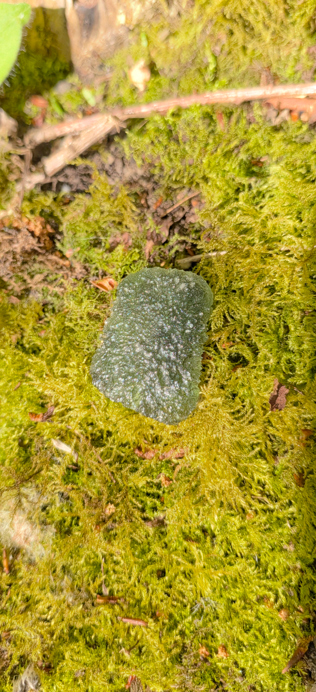 A++ Grade Moldavite From Chlum #62 - 7,14g